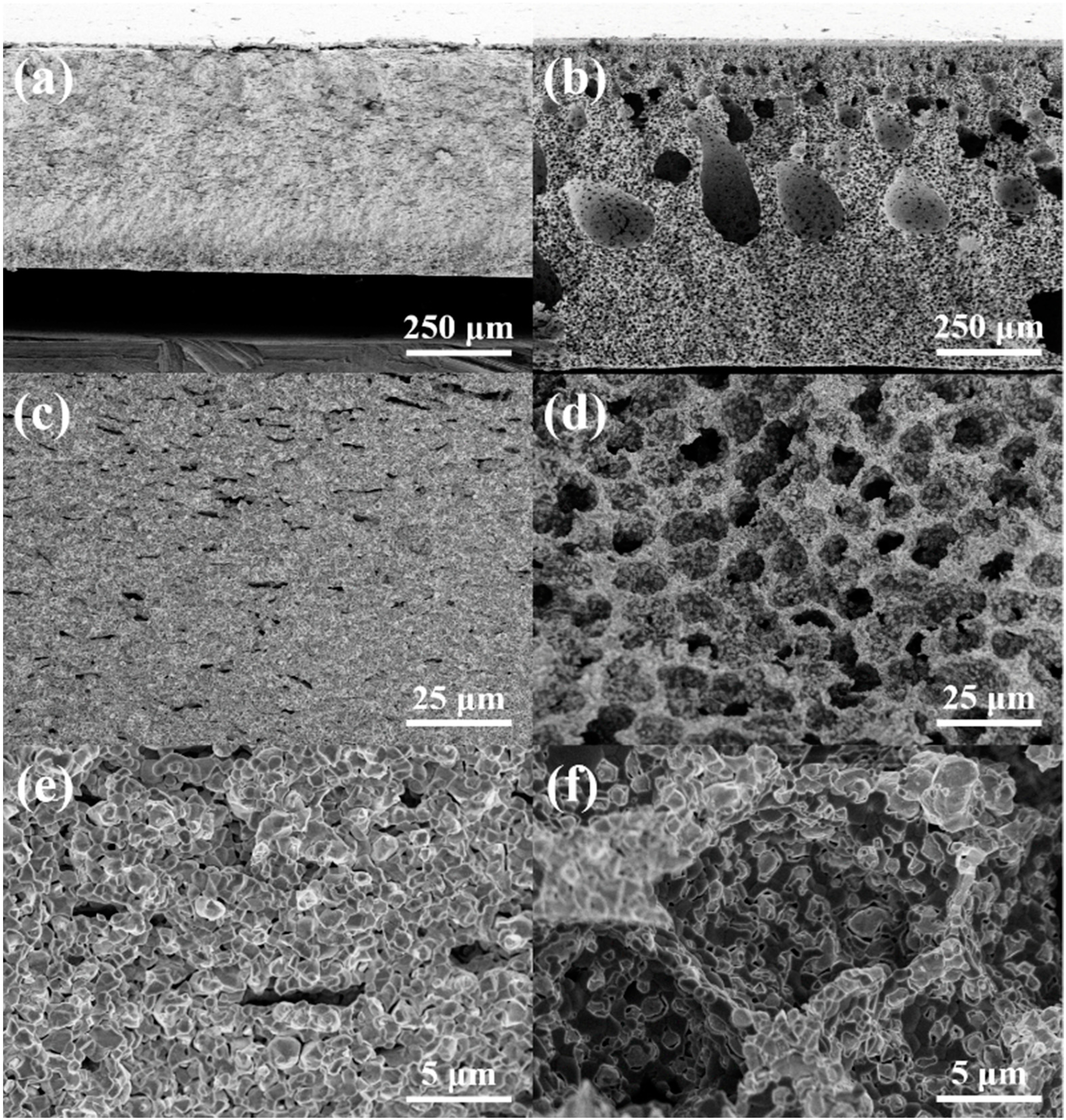 Molecules 27 08396 g002 Molecules 27 08396 g002