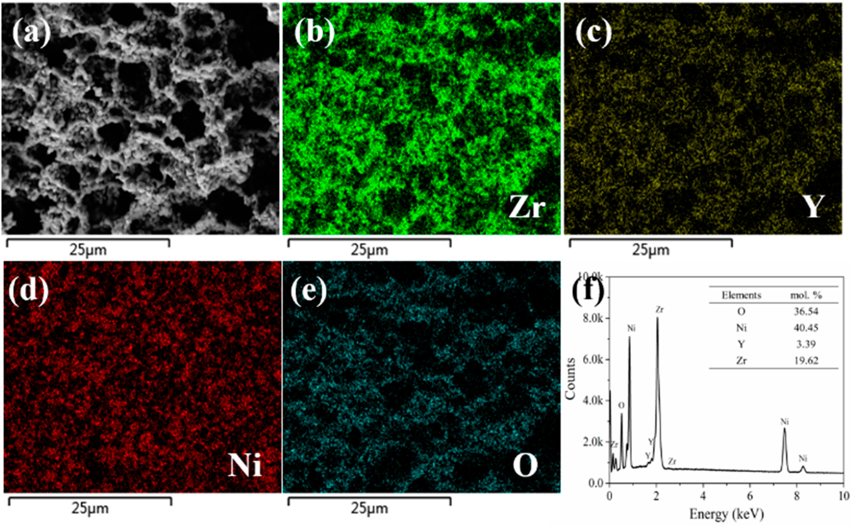 Molecules 27 08396 g004 Molecules 27 08396 g004