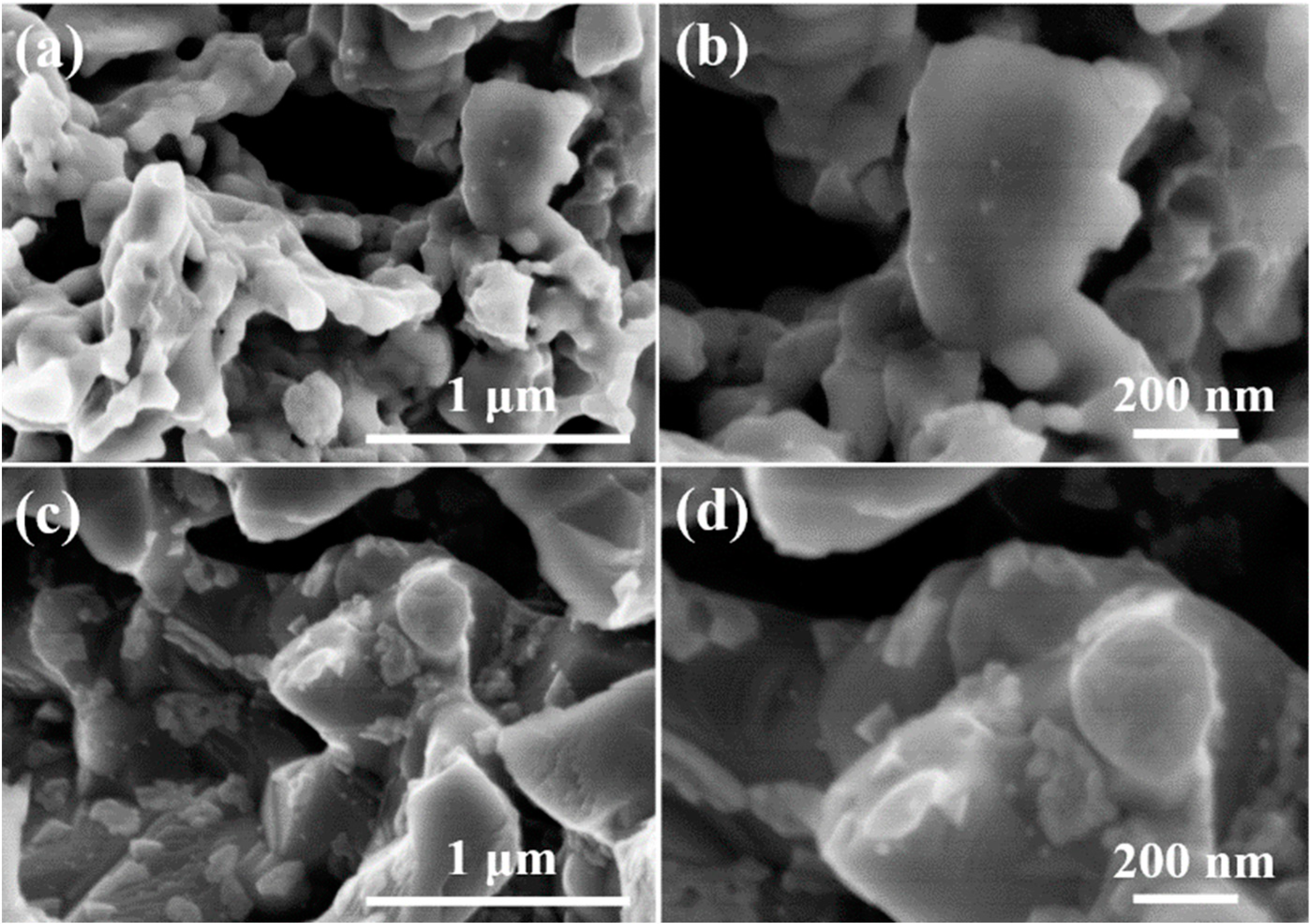 Molecules 27 08396 g006 Molecules 27 08396 g006