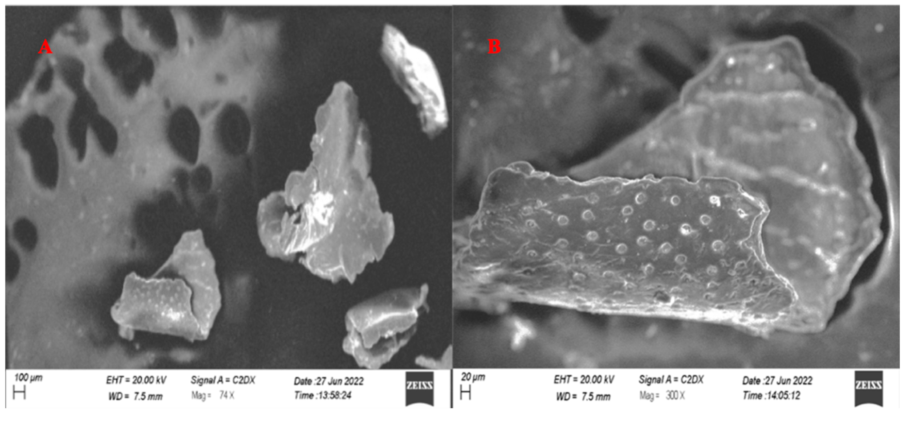 Molecules 27 08401 g008 Molecules 27 08401 g008