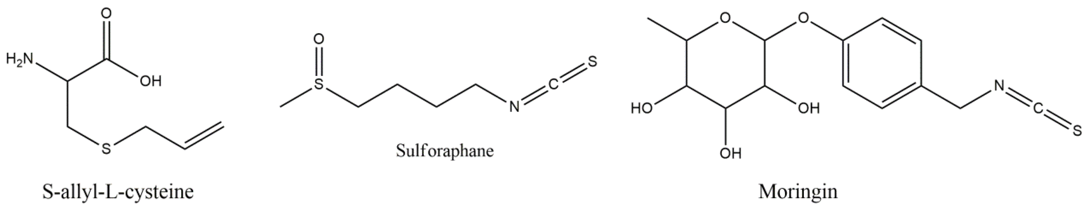 Molecules 27 08402 g010 Molecules 27 08402 g010