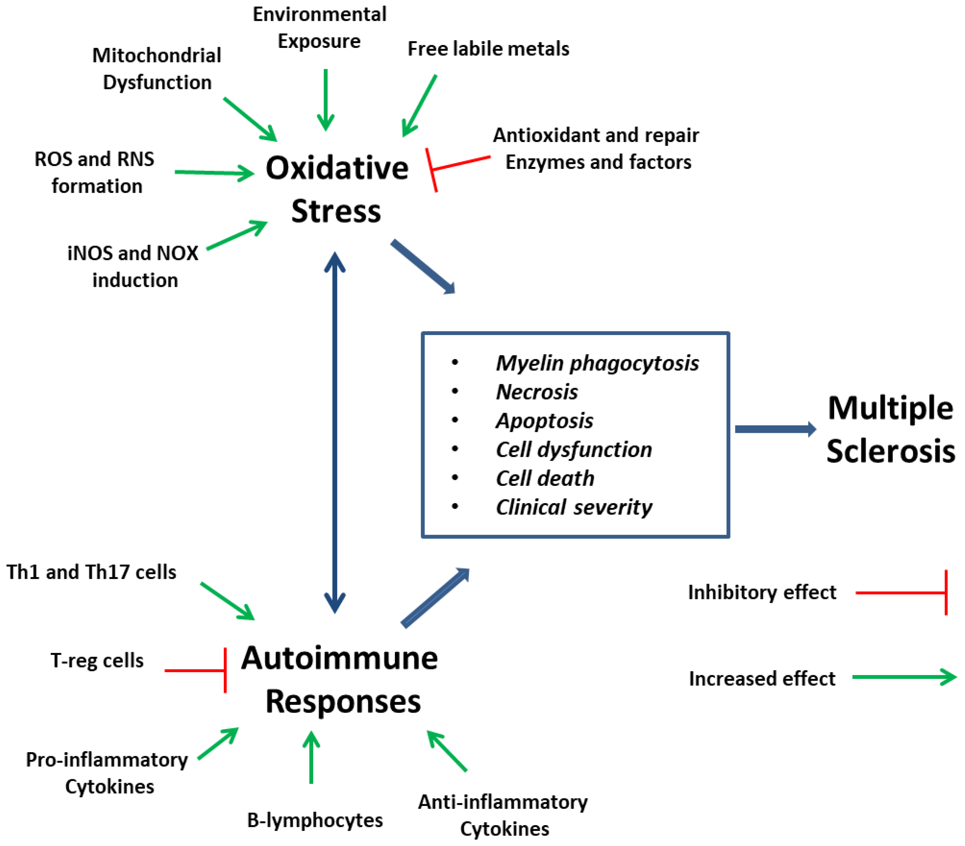 Molecules 27 08402 g011 Molecules 27 08402 g011