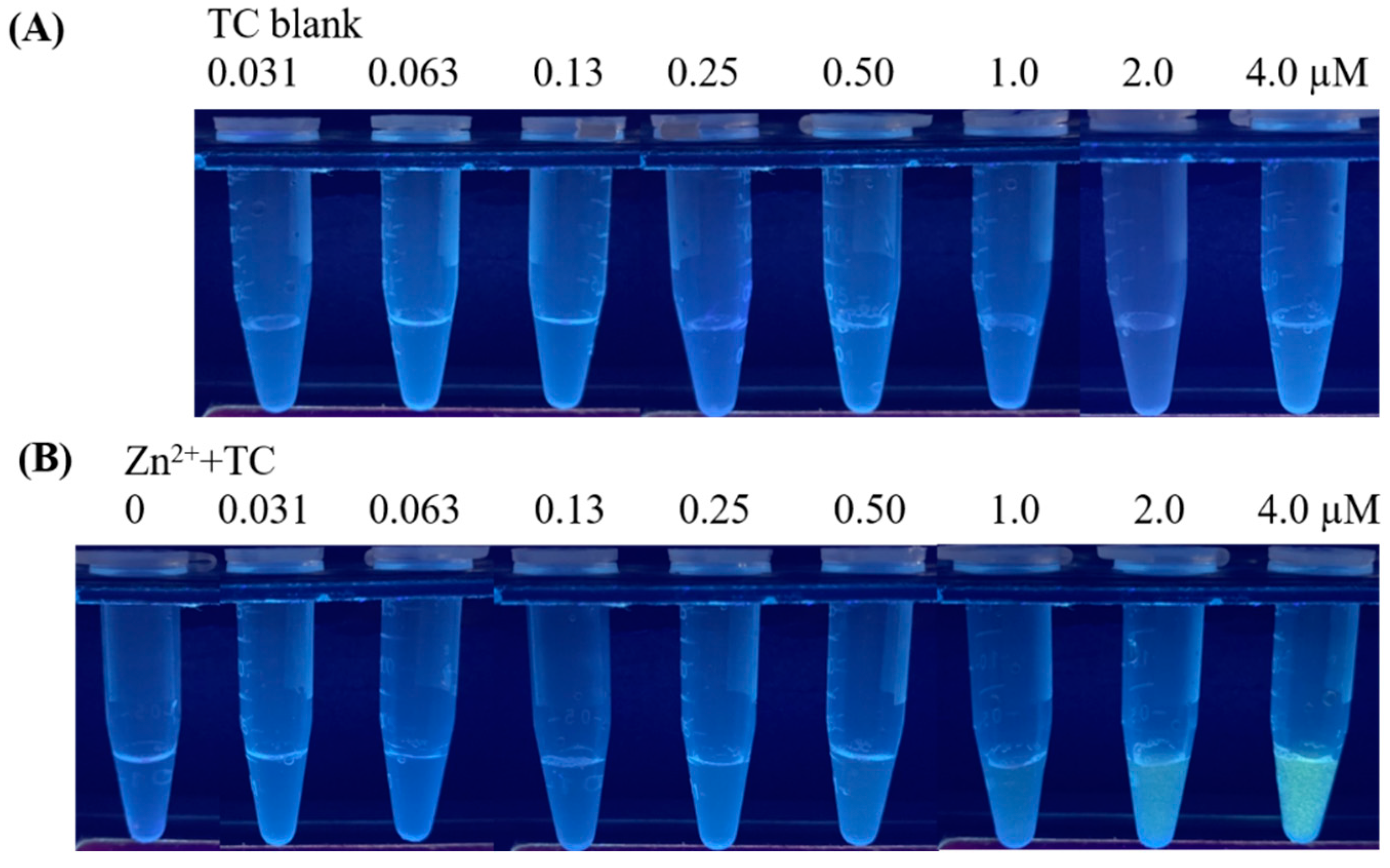 Molecules 27 08403 g001 Molecules 27 08403 g001