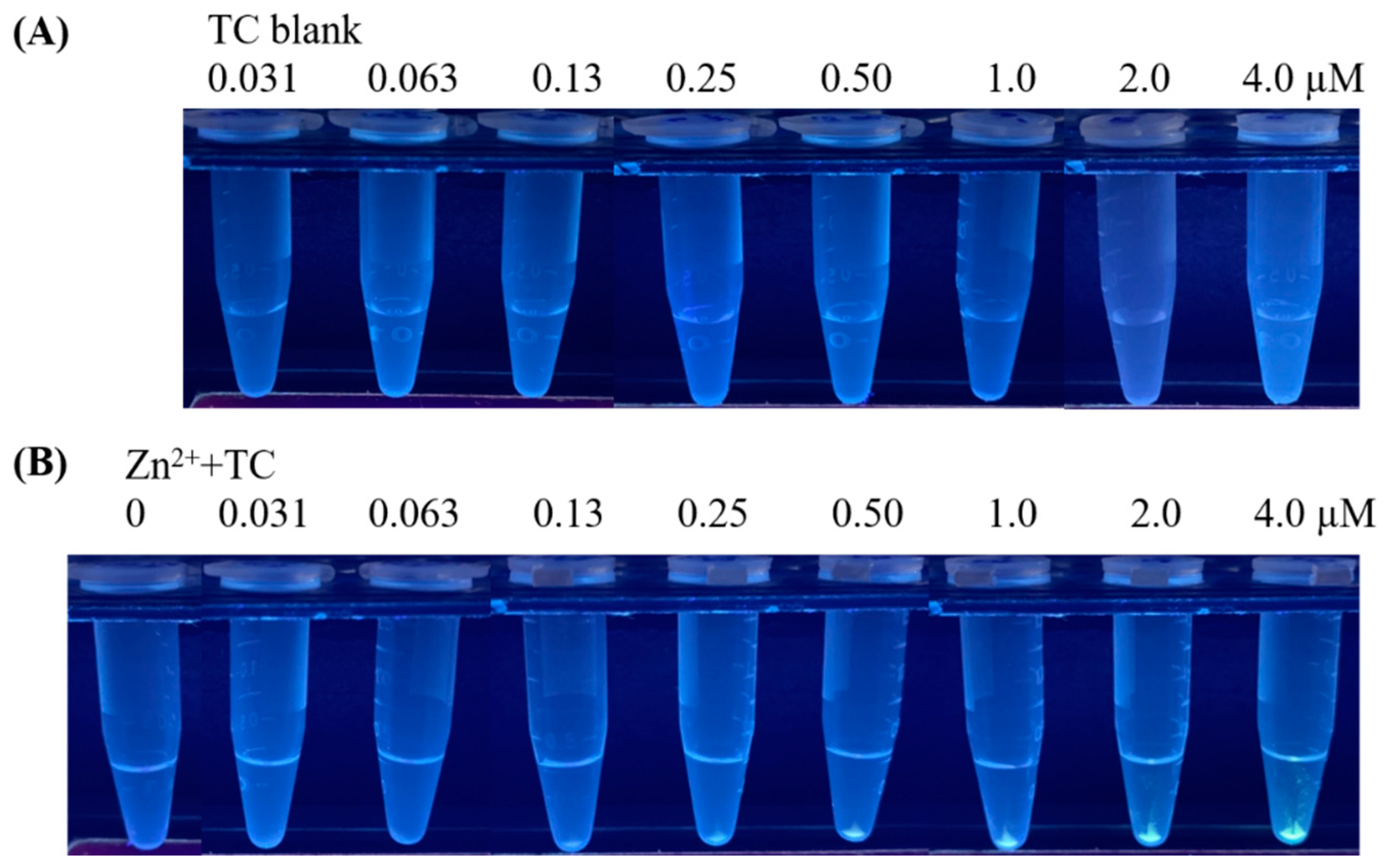 Molecules 27 08403 g002 Molecules 27 08403 g002