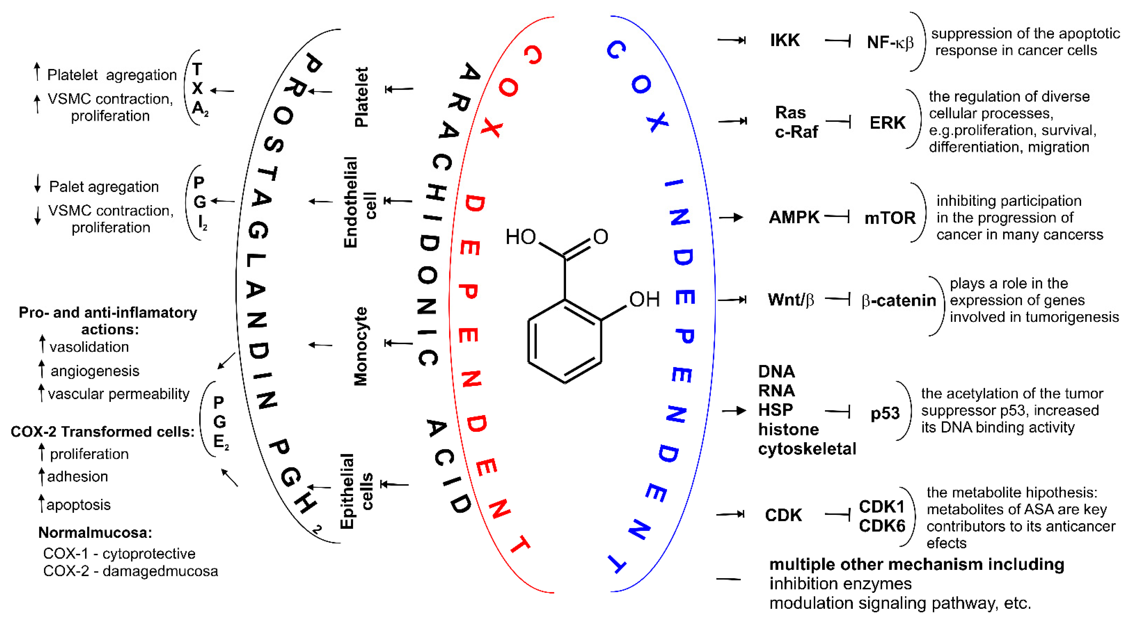 Molecules 27 08412 g004 Molecules 27 08412 g004