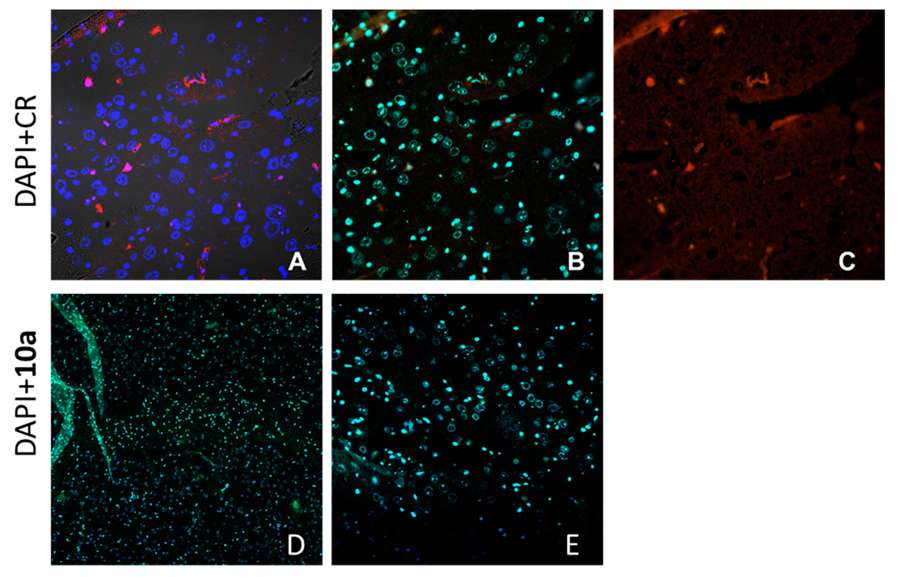 Molecules 27 08414 g009 Molecules 27 08414 g009