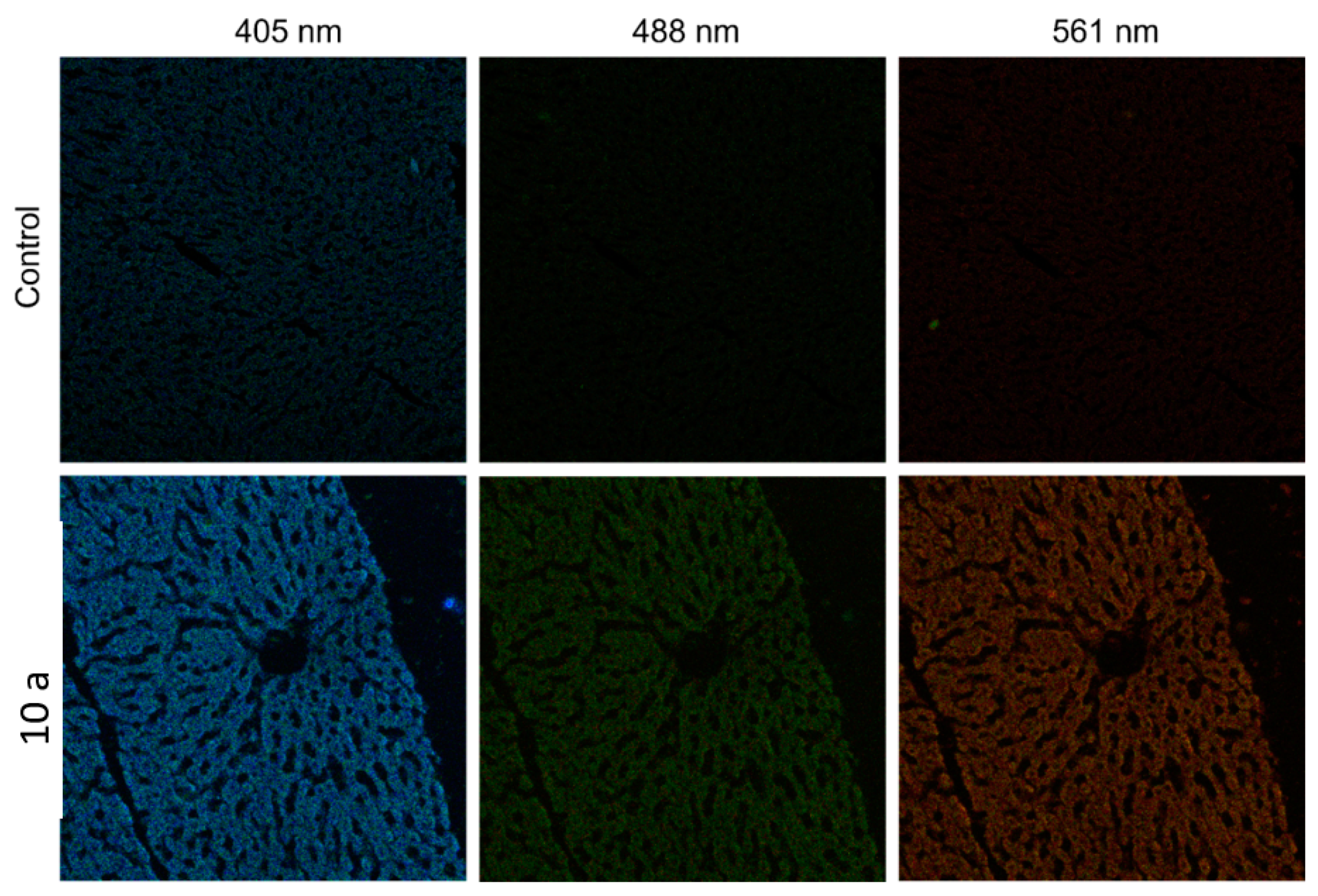 Molecules 27 08414 g010 Molecules 27 08414 g010