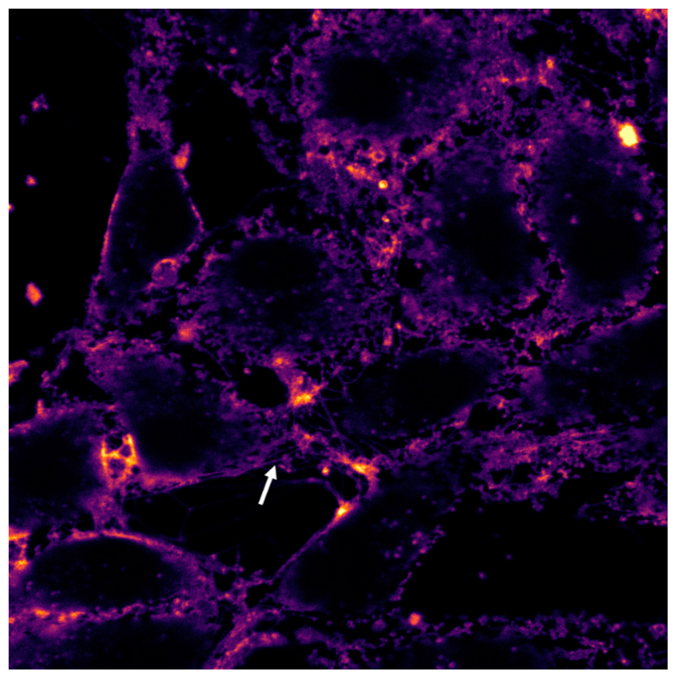 Molecules 27 08414 g012 Molecules 27 08414 g012