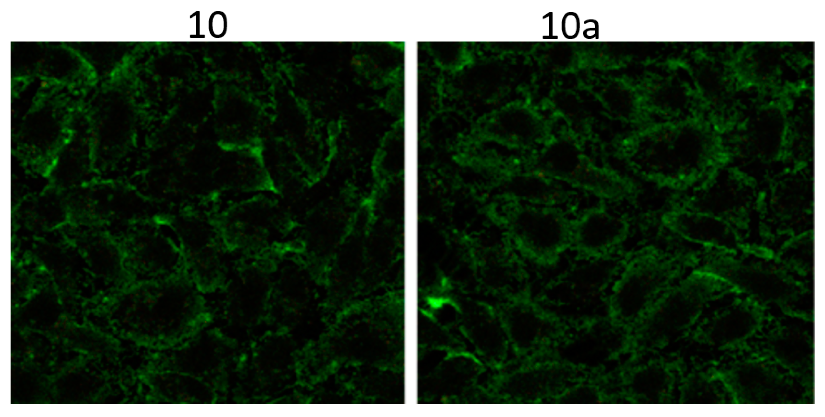 Molecules 27 08414 g013 Molecules 27 08414 g013