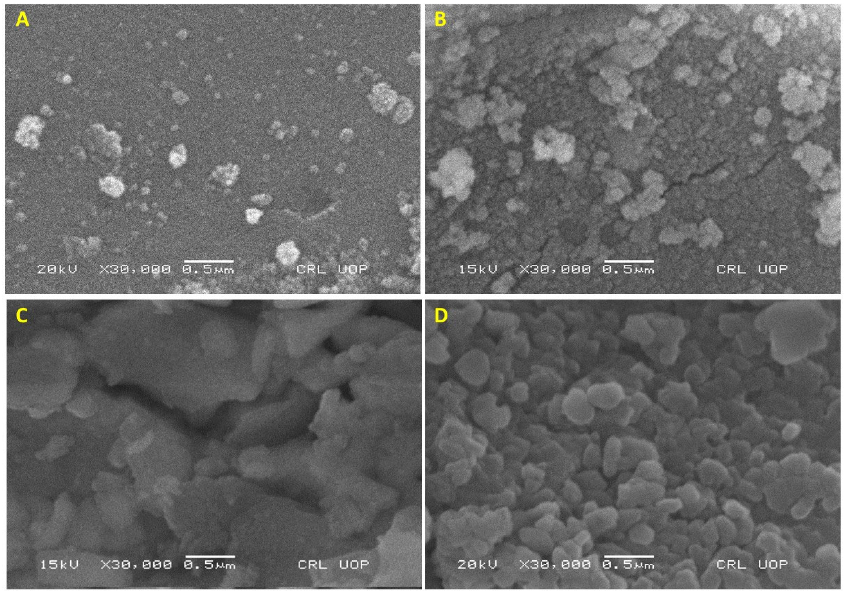 Molecules 27 08420 g002