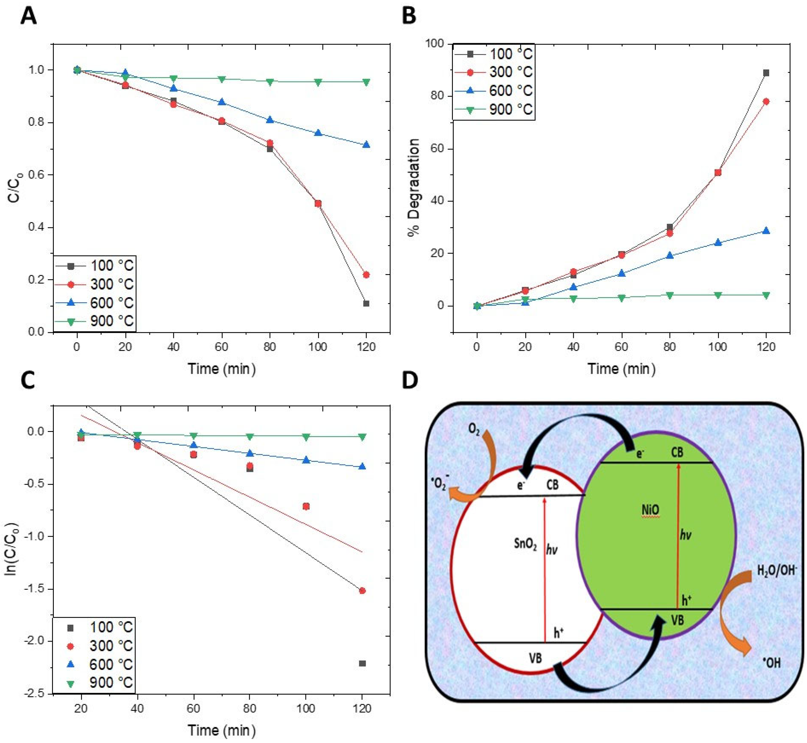 Molecules 27 08420 g007
