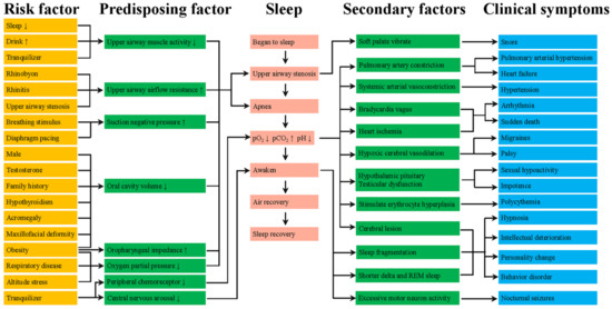 Advances in Molecular Pathology of Obstructive Sleep Apnea