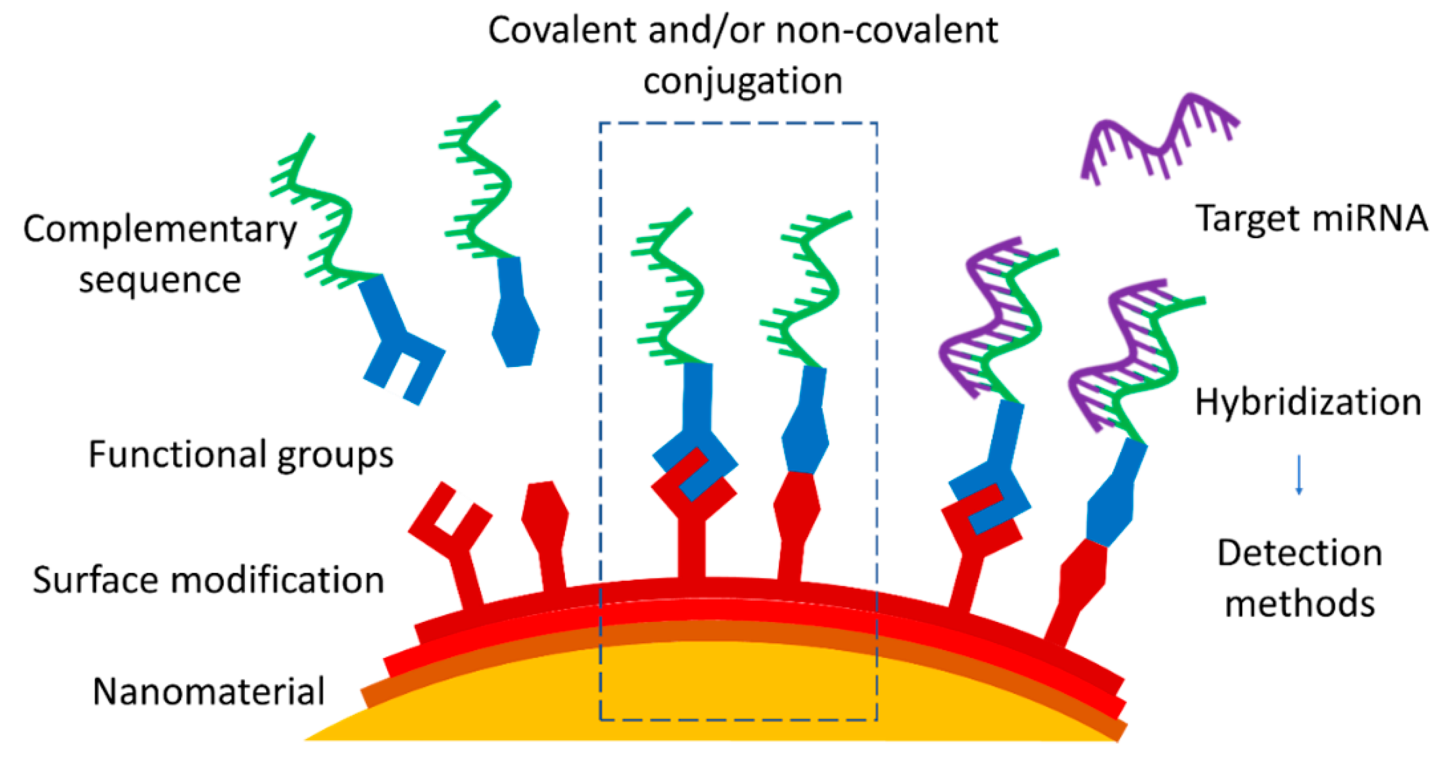 Molecules 27 08428 g001