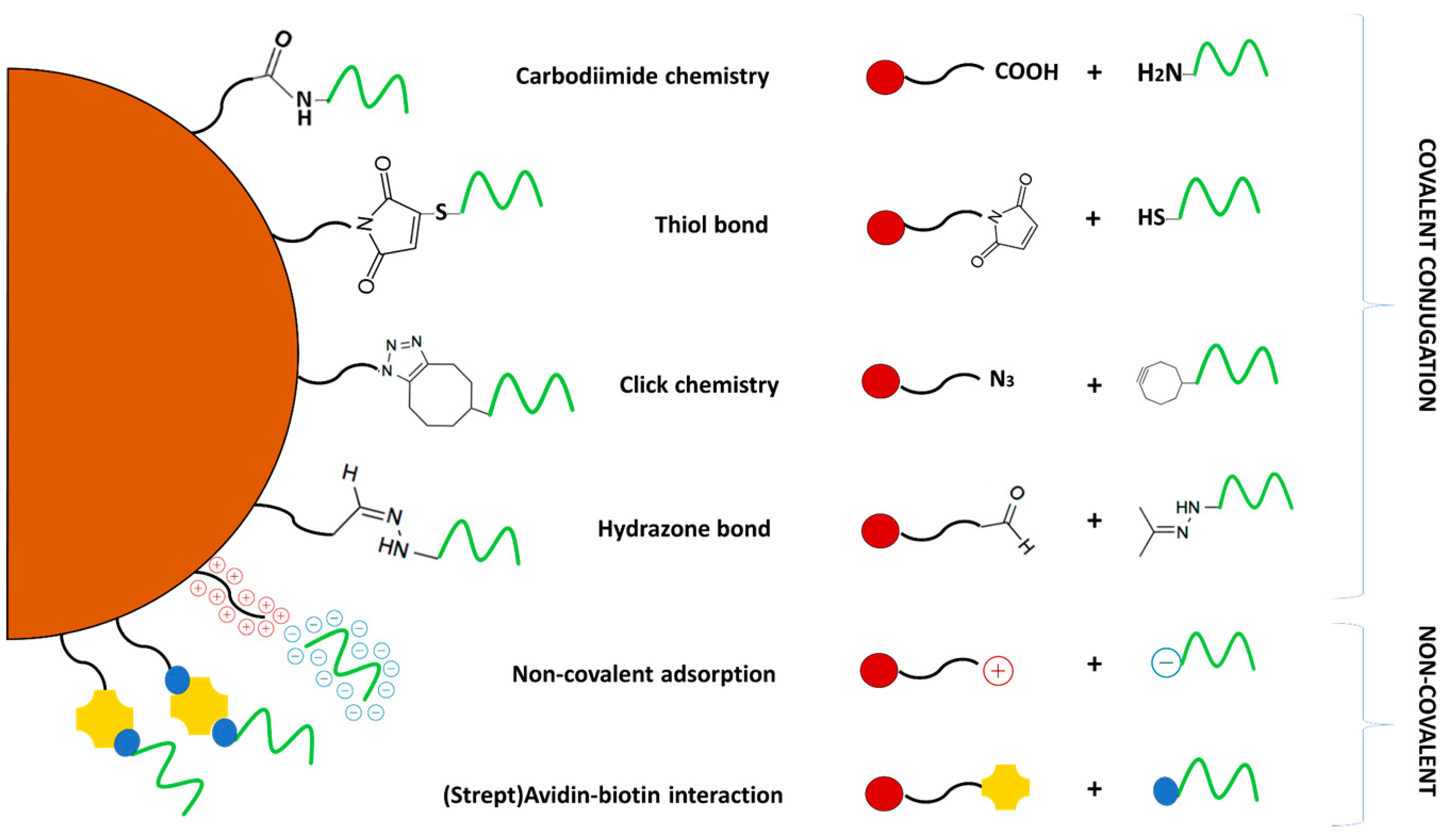 Molecules 27 08428 g002