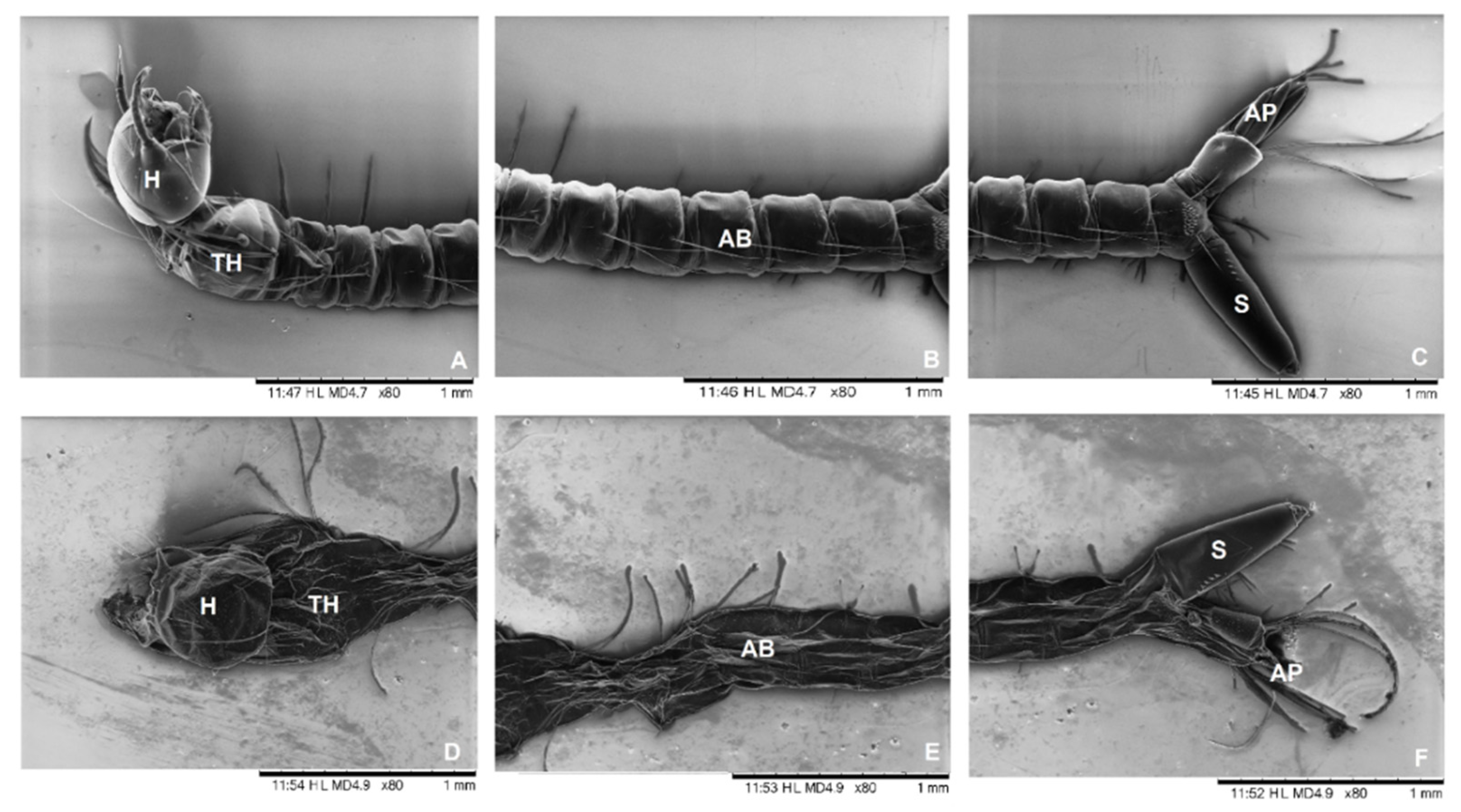 Molecules 27 08433 g005 Molecules 27 08433 g005