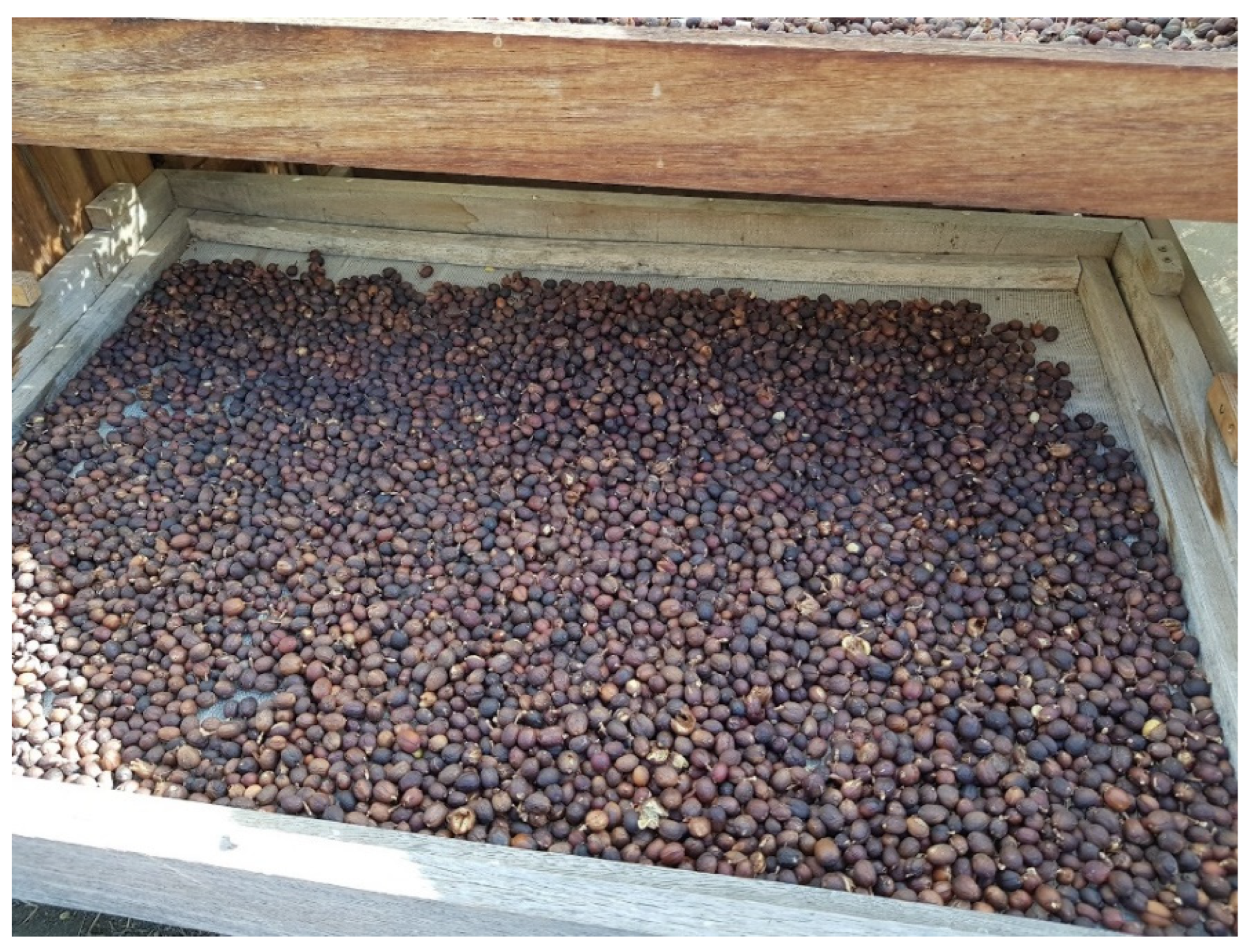 Molecules 27 08435 g005 Molecules 27 08435 g005