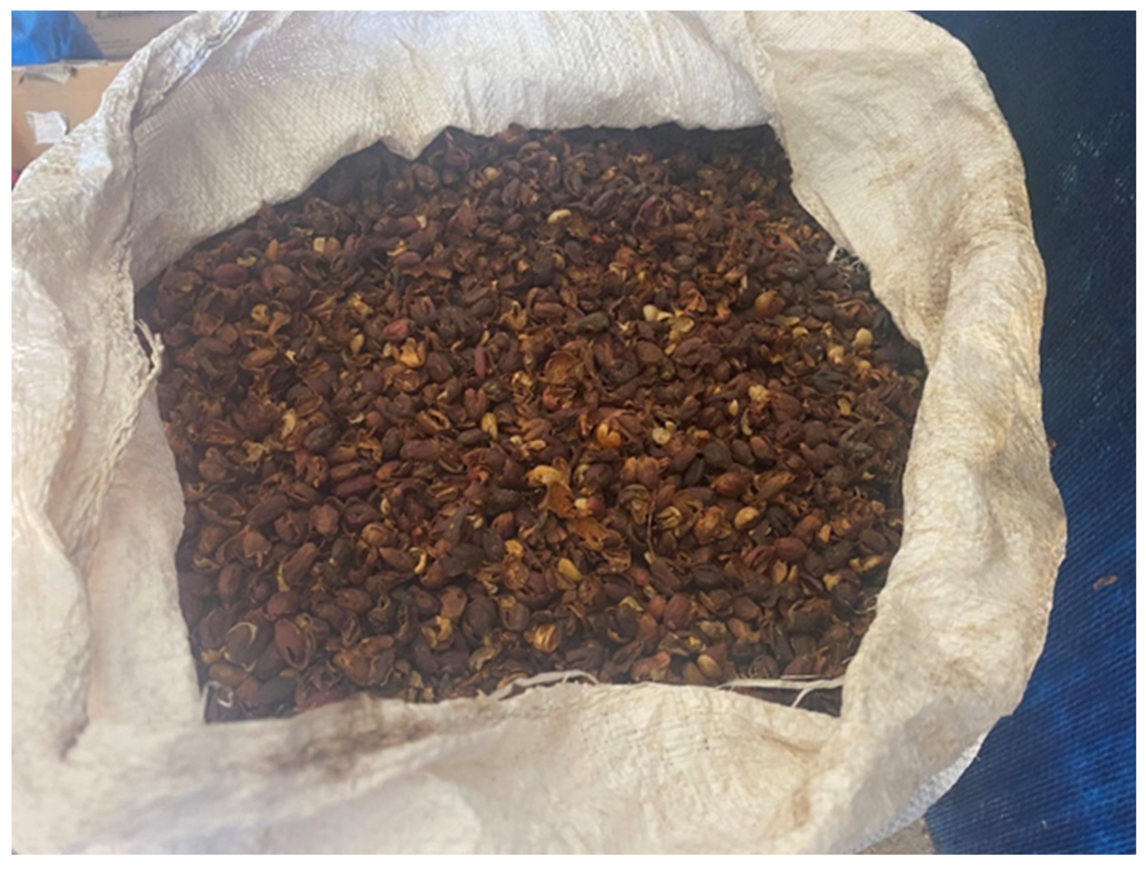 Molecules 27 08435 g006 Molecules 27 08435 g006