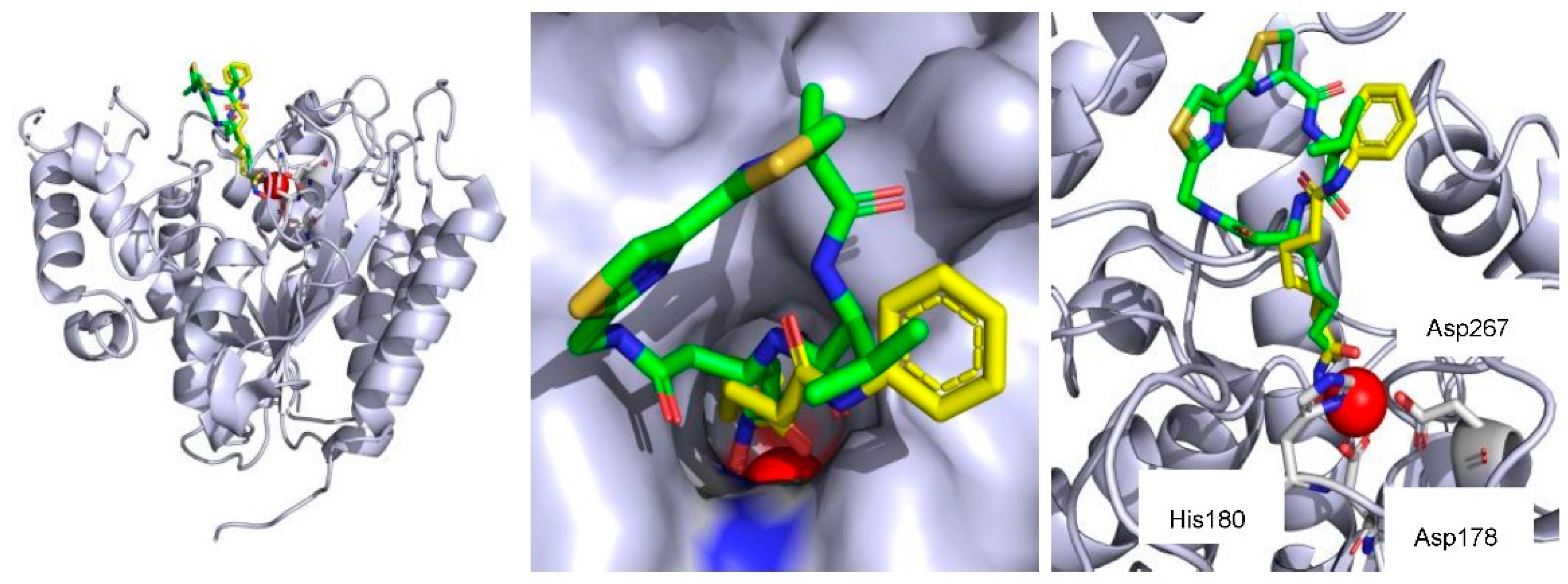 Molecules 27 08438 g003 Molecules 27 08438 g003