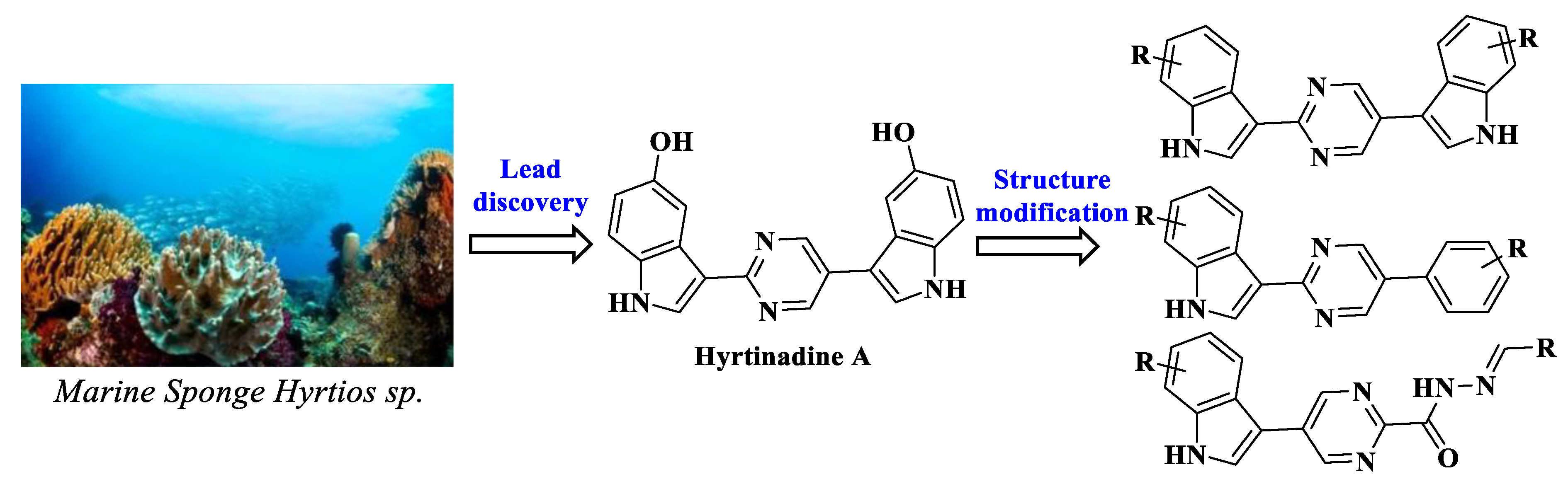 Molecules 27 08439 g001 Molecules 27 08439 g001