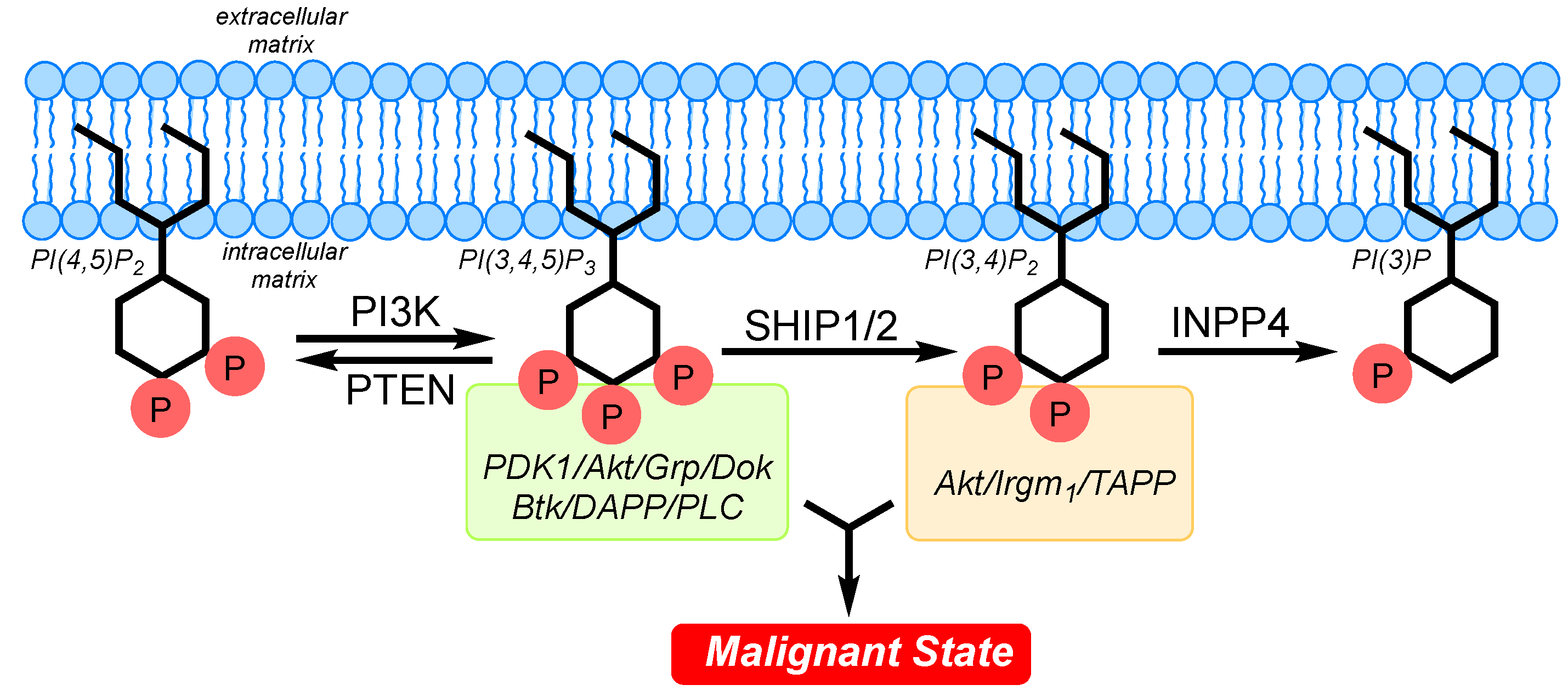 Molecules 27 08451 g001