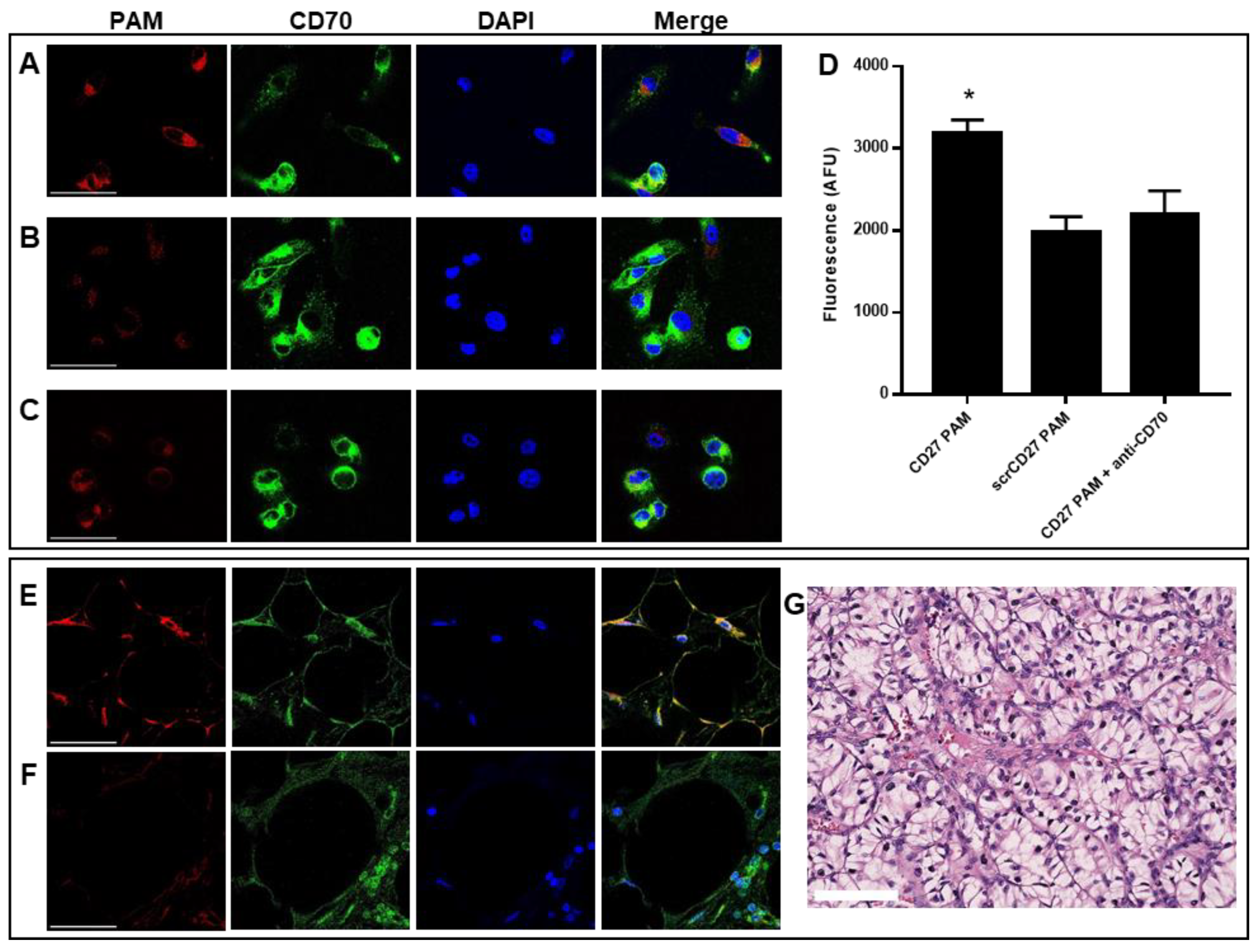 Molecules 27 08457 g003 Molecules 27 08457 g003