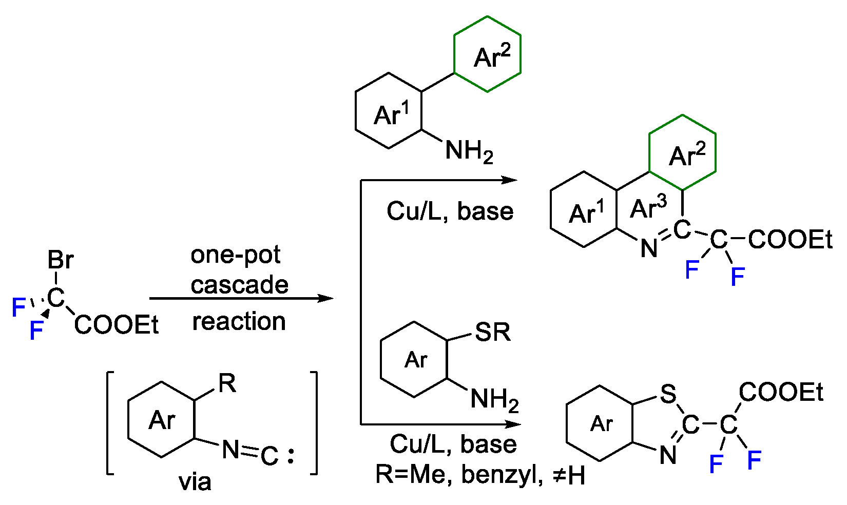 Molecules 27 08461 sch015 Molecules 27 08461 sch015