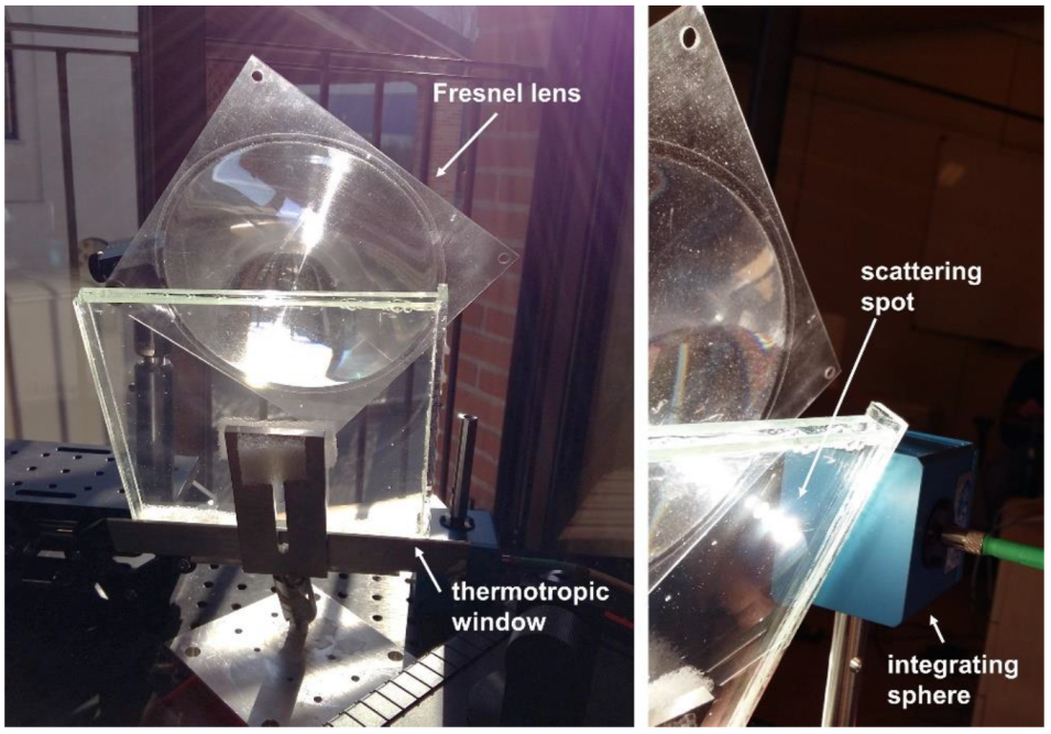 Molecules 27 08464 g007
