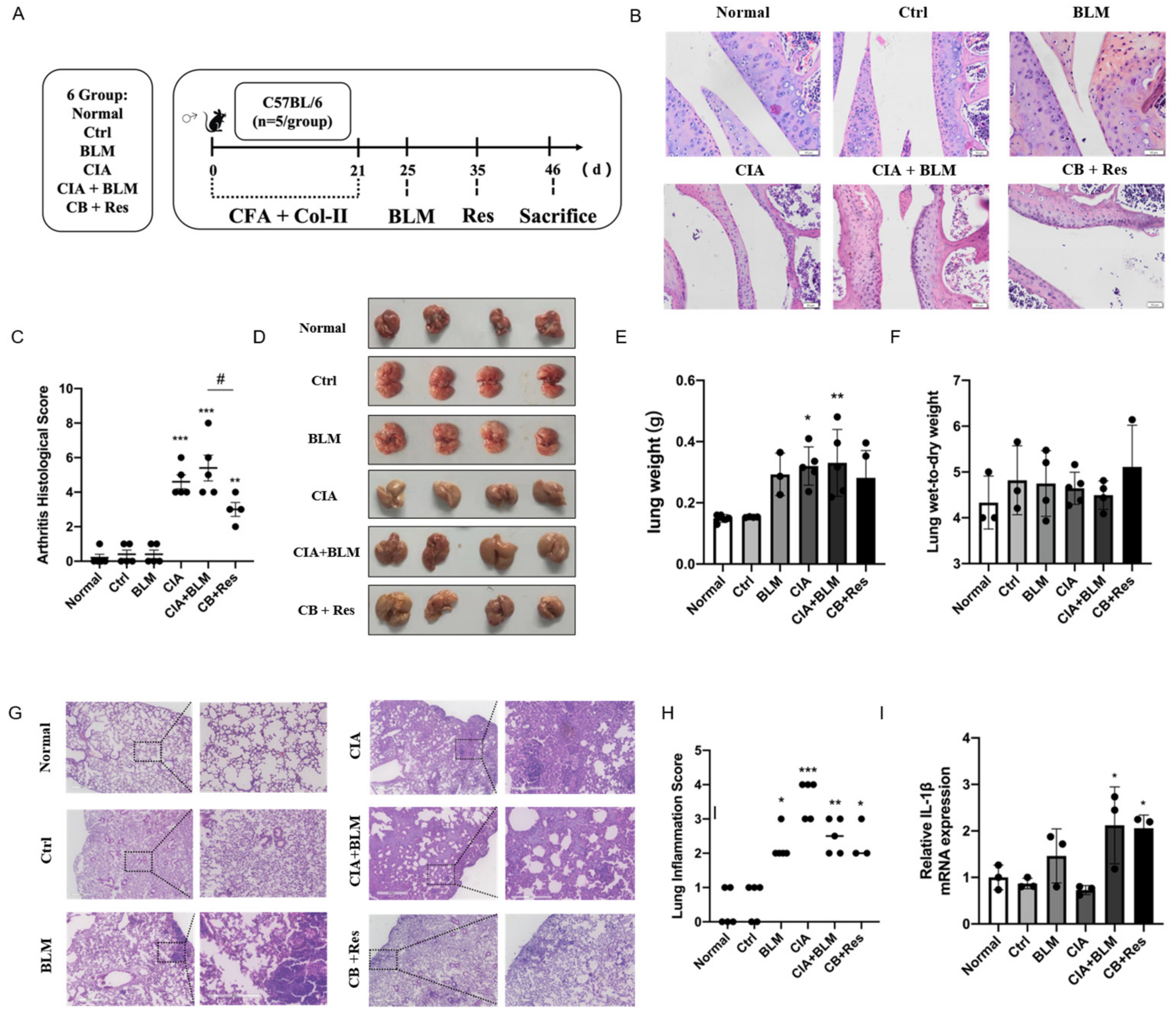 Molecules 27 08475 g002