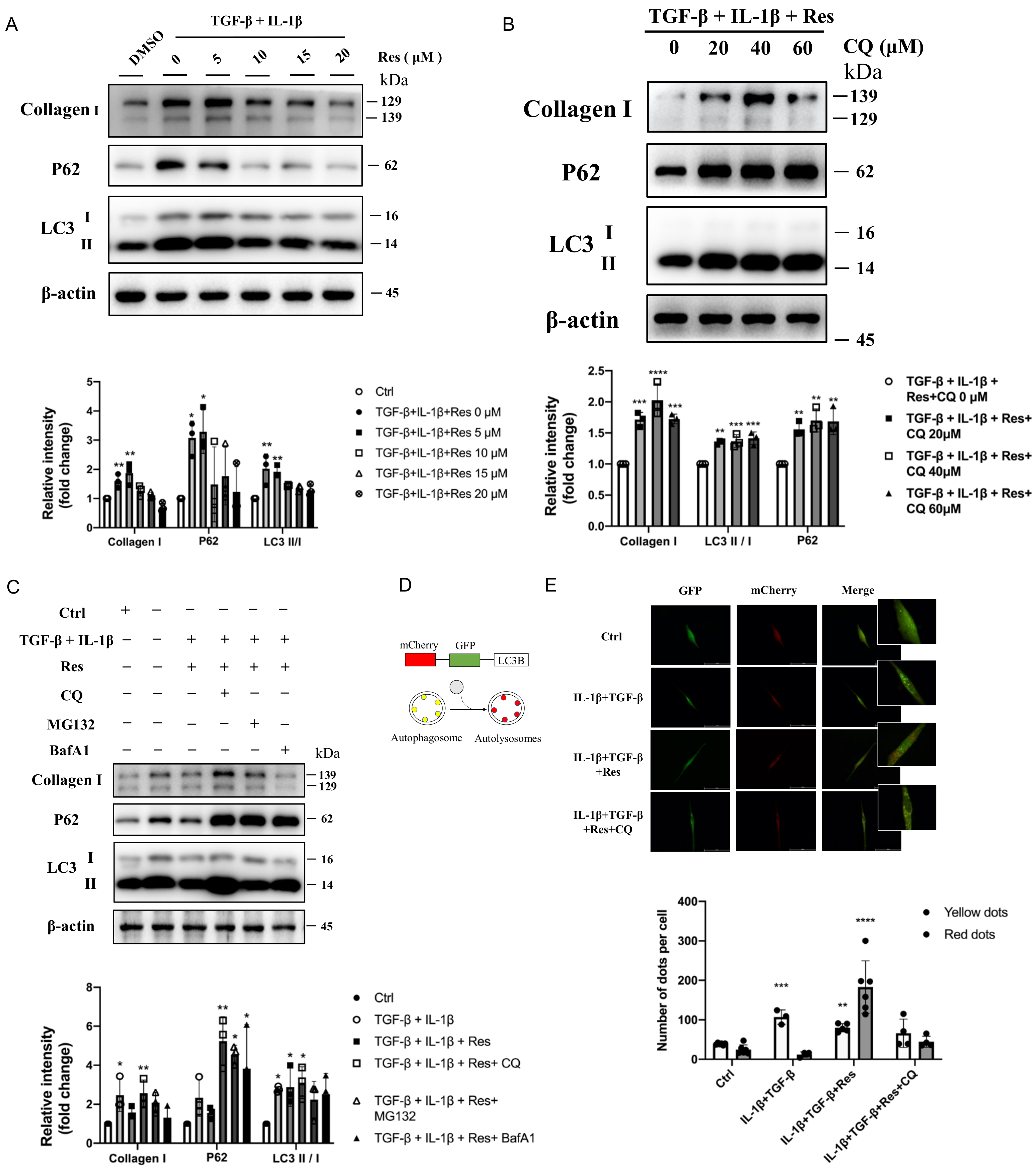 Molecules 27 08475 g005