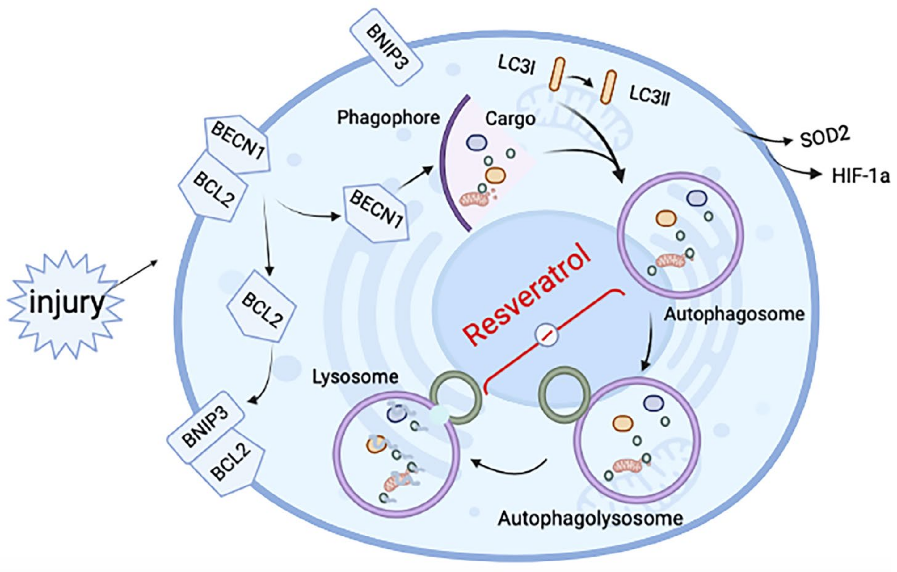 Molecules 27 08475 g006