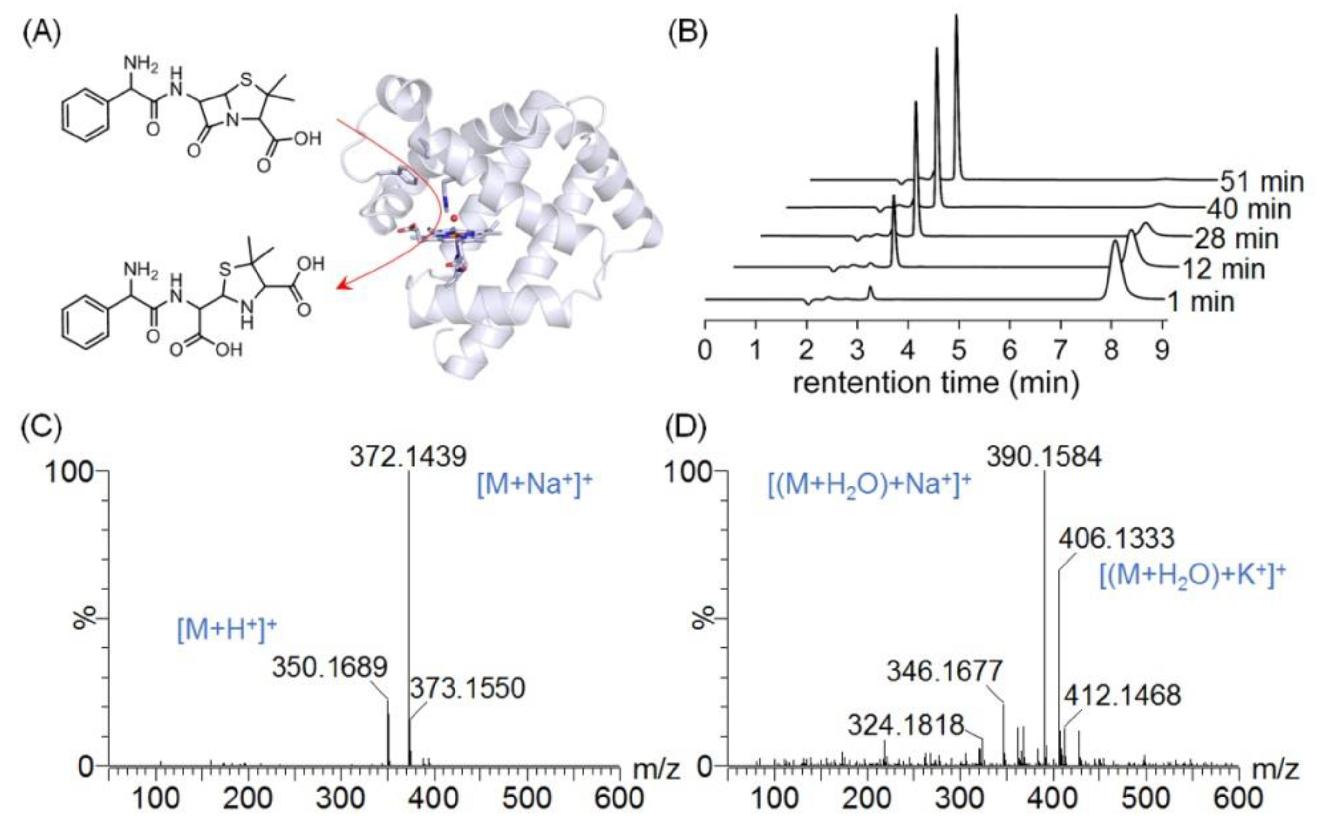 Molecules 27 08478 g003