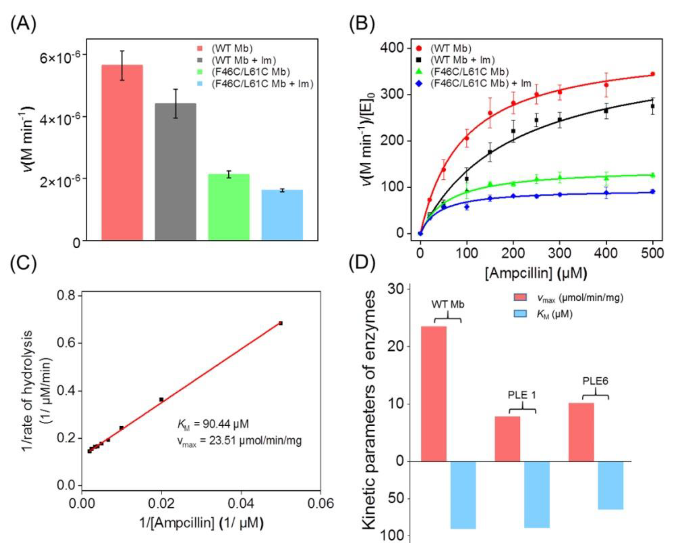 Molecules 27 08478 g005