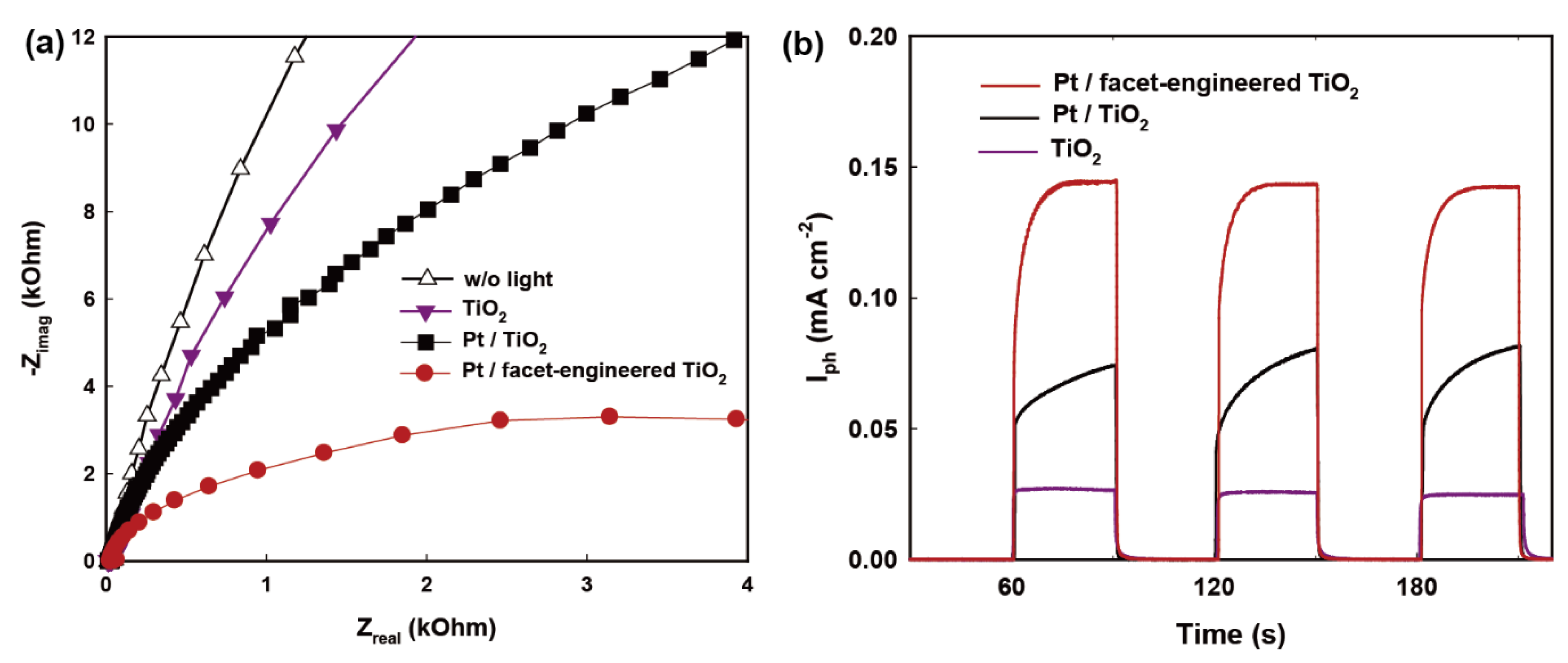 Molecules 27 08482 g004