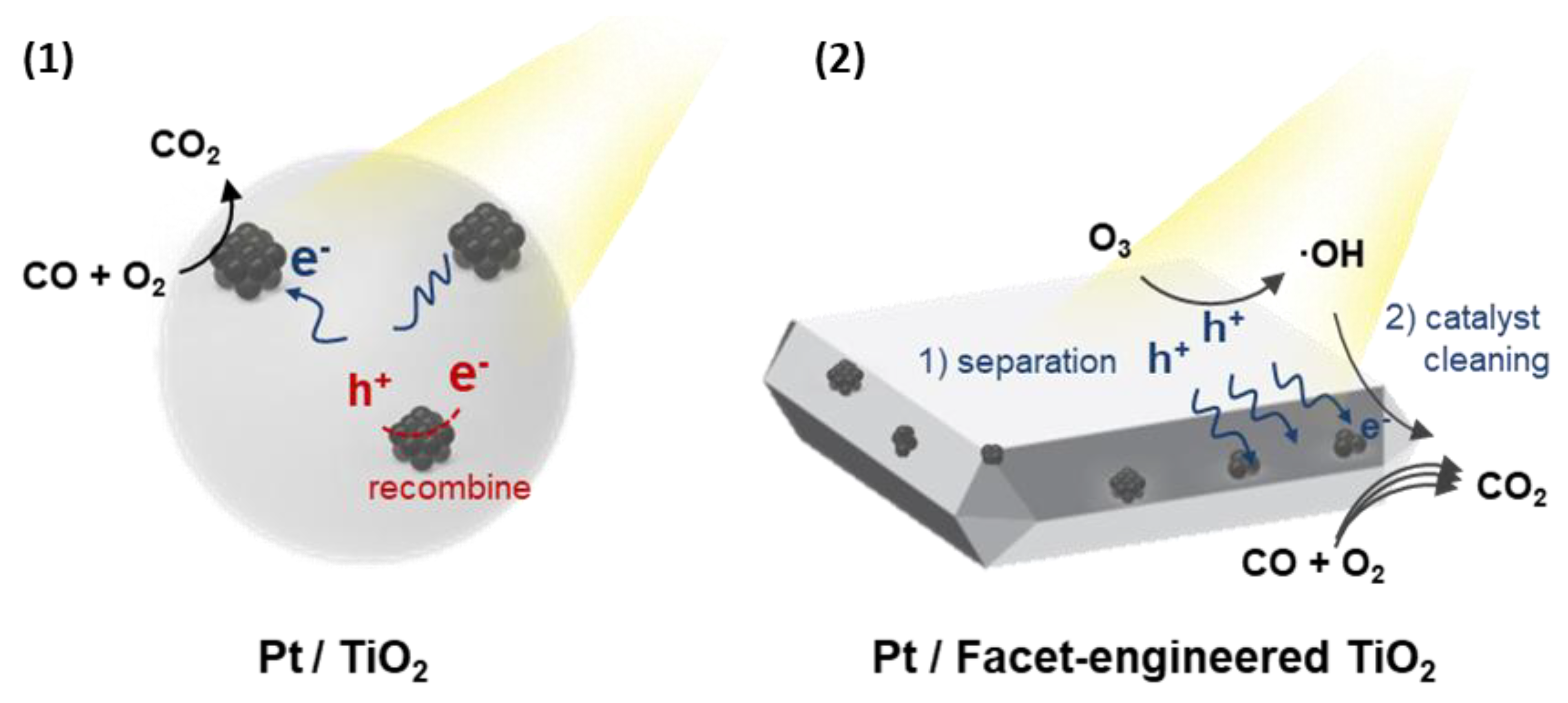 Molecules 27 08482 sch001