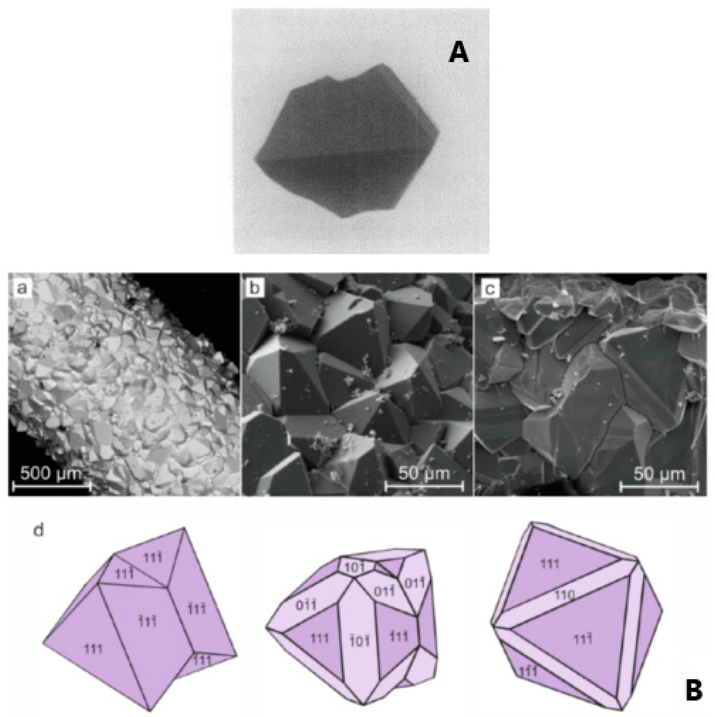 Molecules 27 08484 g003 Molecules 27 08484 g003