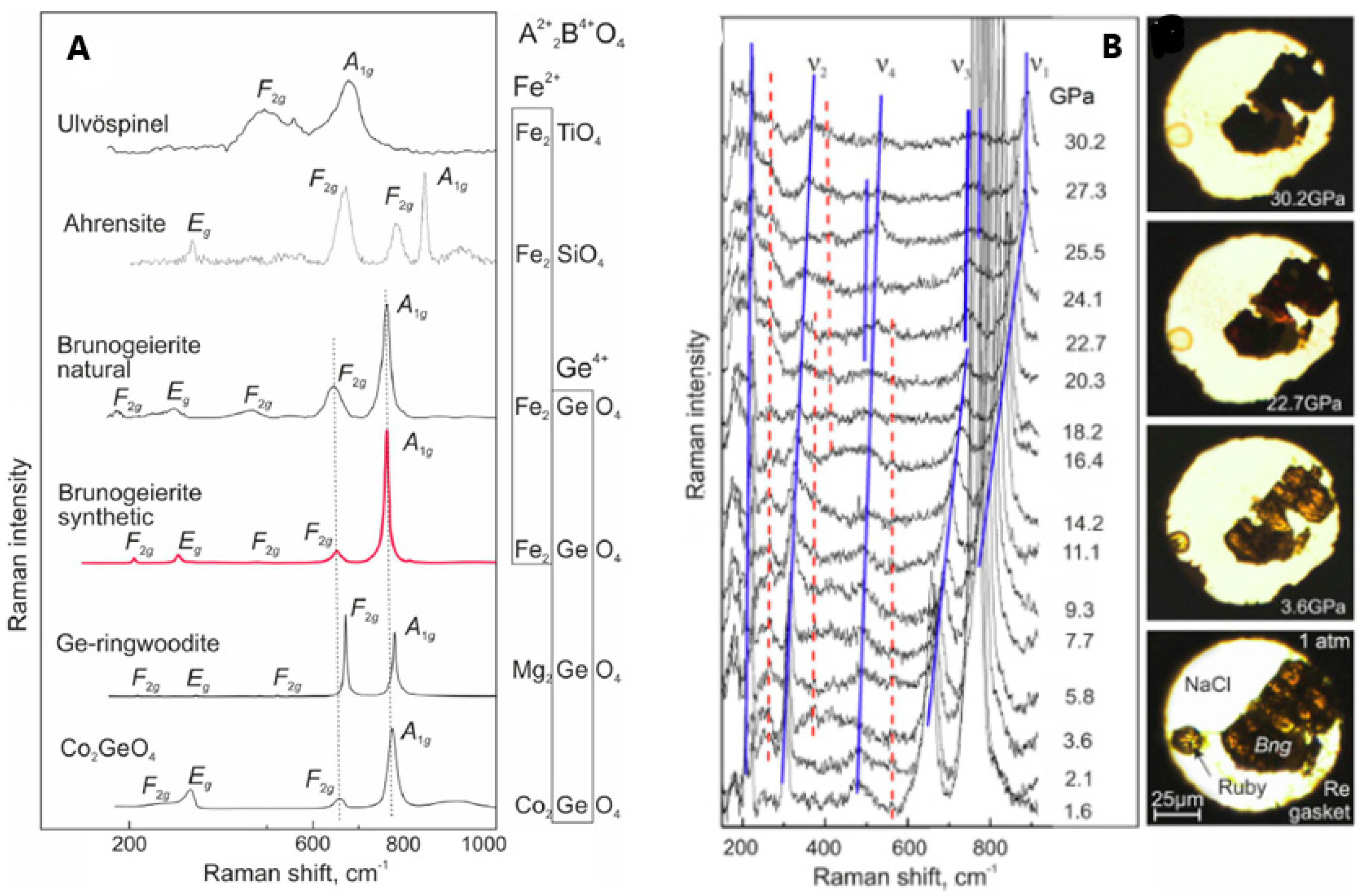 Molecules 27 08484 g006 Molecules 27 08484 g006