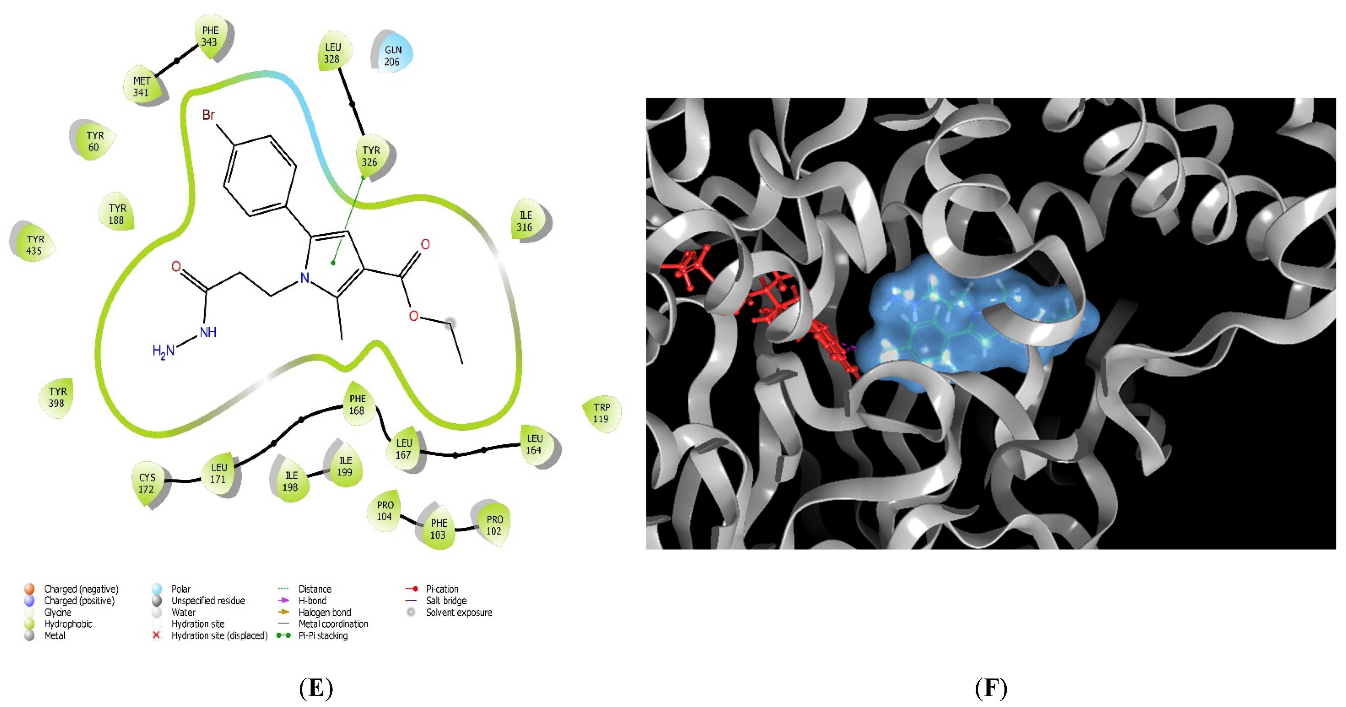 Molecules 27 08485 g003b Molecules 27 08485 g003b
