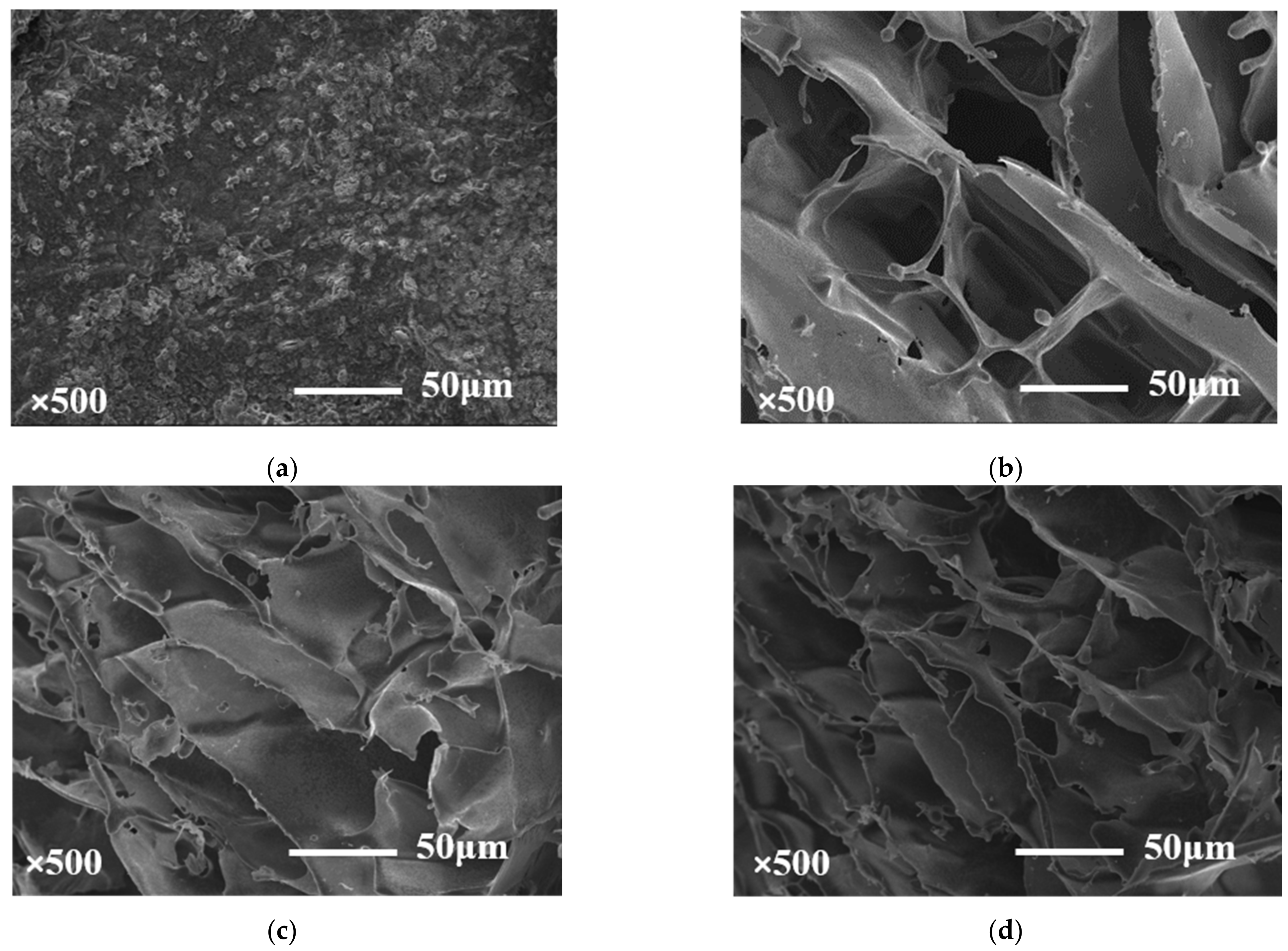 Molecules 27 08494 g006a