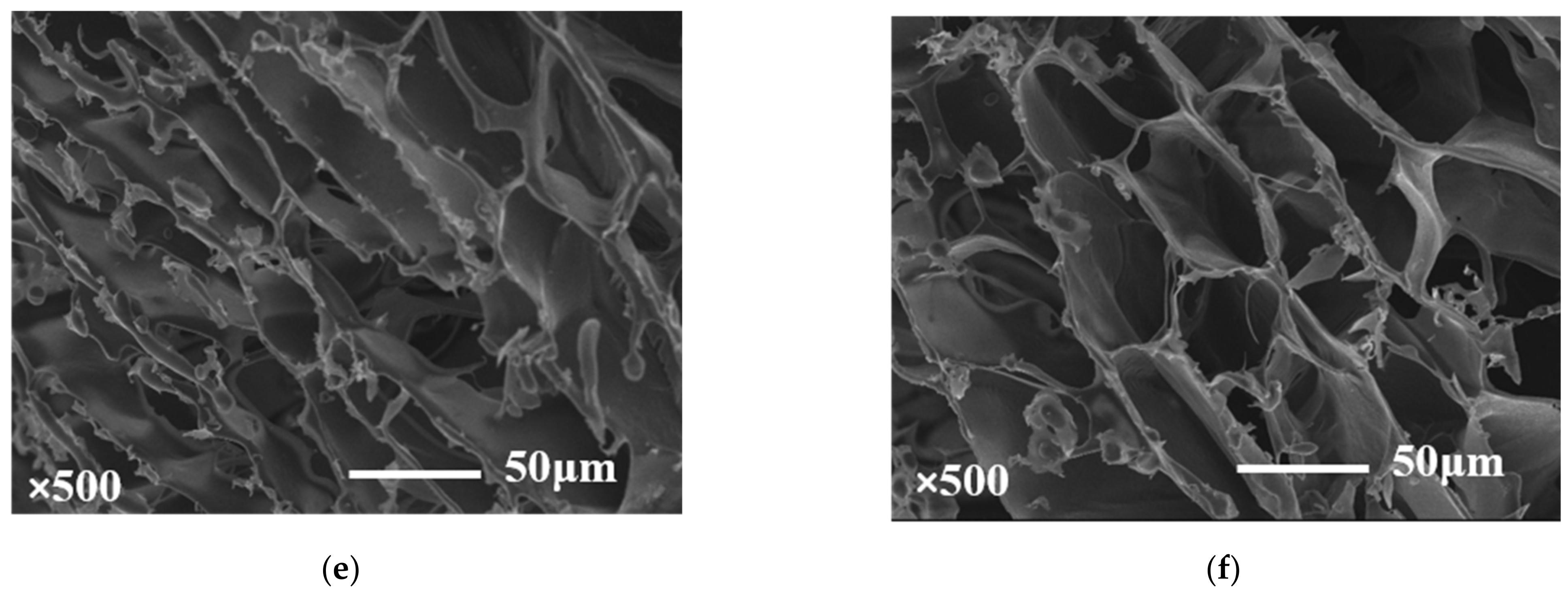 Molecules 27 08494 g006b