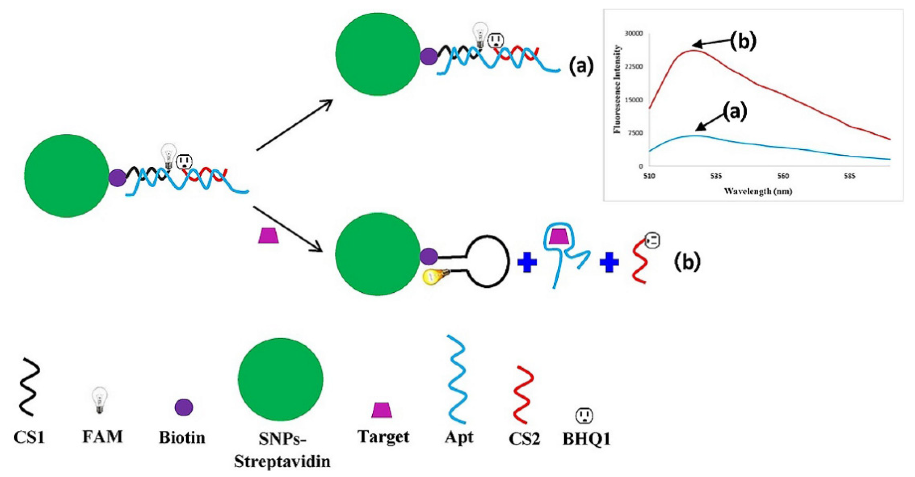 Molecules 27 08497 g007 Molecules 27 08497 g007