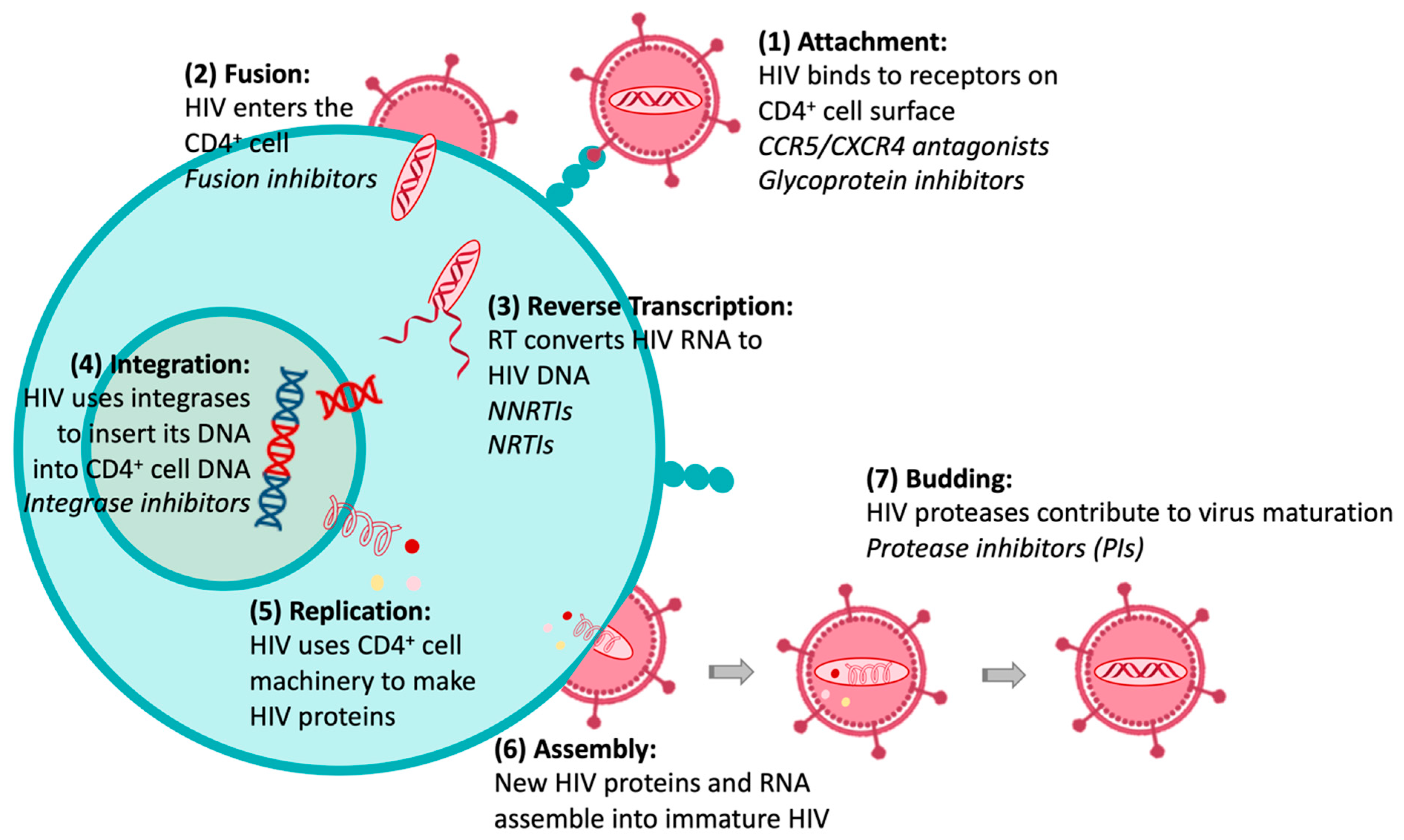 Molecules 27 08502 g002 Molecules 27 08502 g002