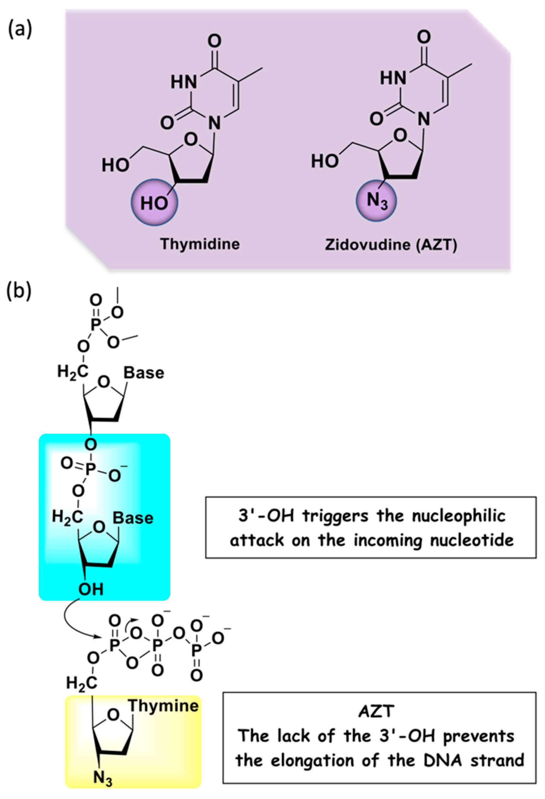 Molecules 27 08502 g003 Molecules 27 08502 g003