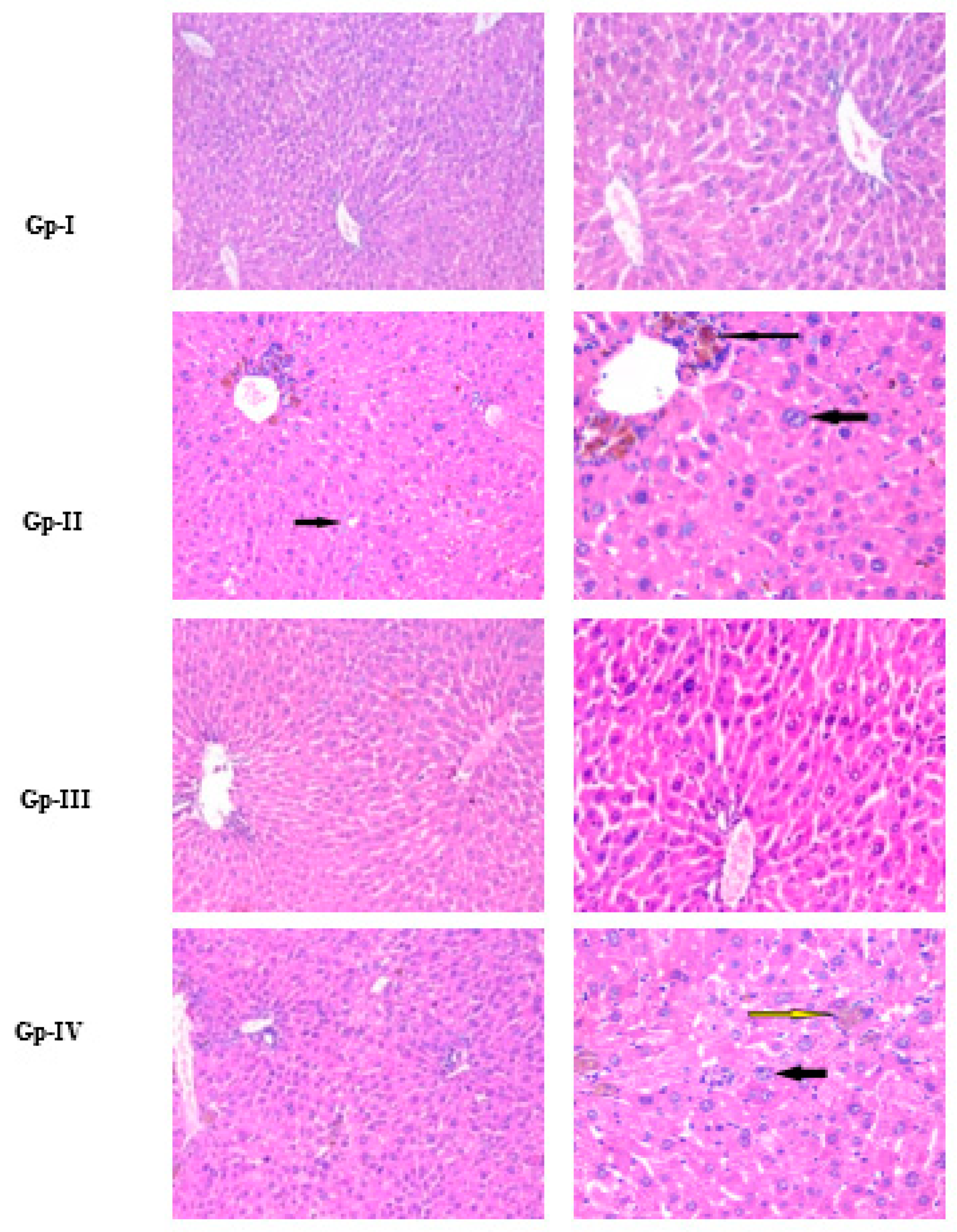Molecules 27 08504 g004 Molecules 27 08504 g004