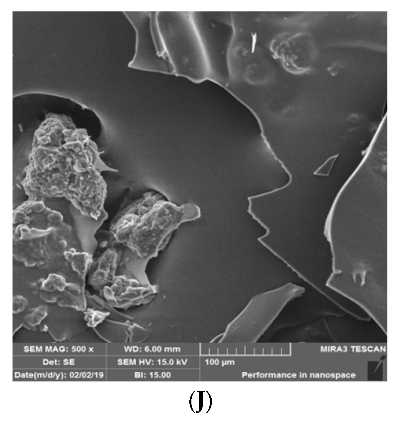 Molecules 27 08509 g002b Molecules 27 08509 g002b