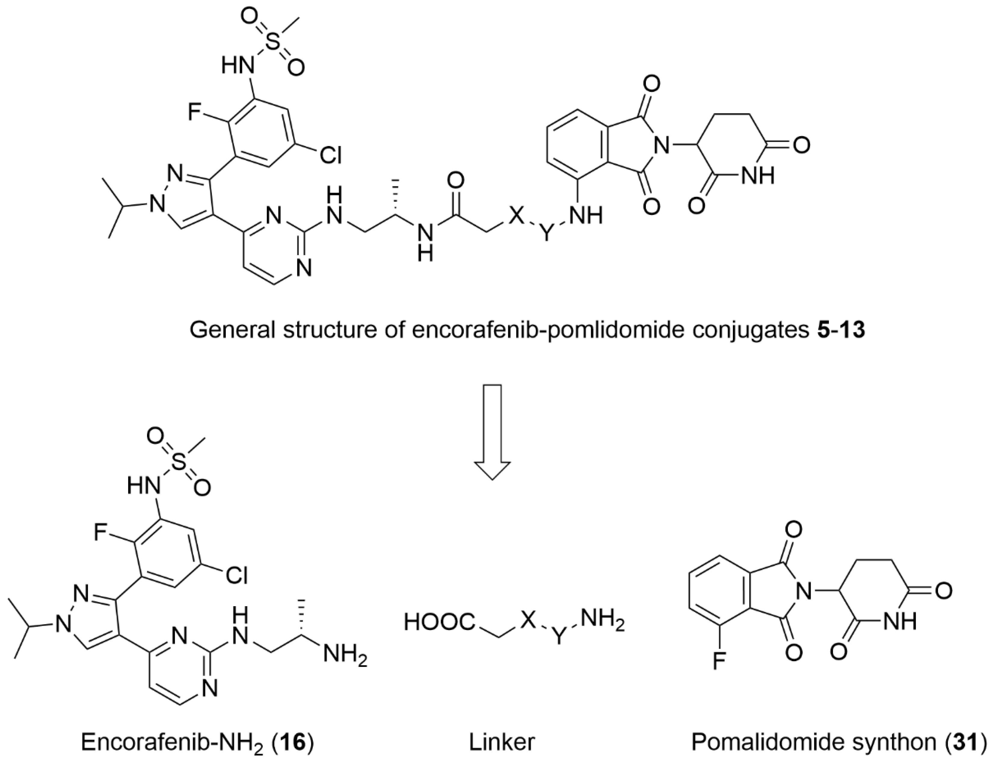 Molecules 27 08513 g003