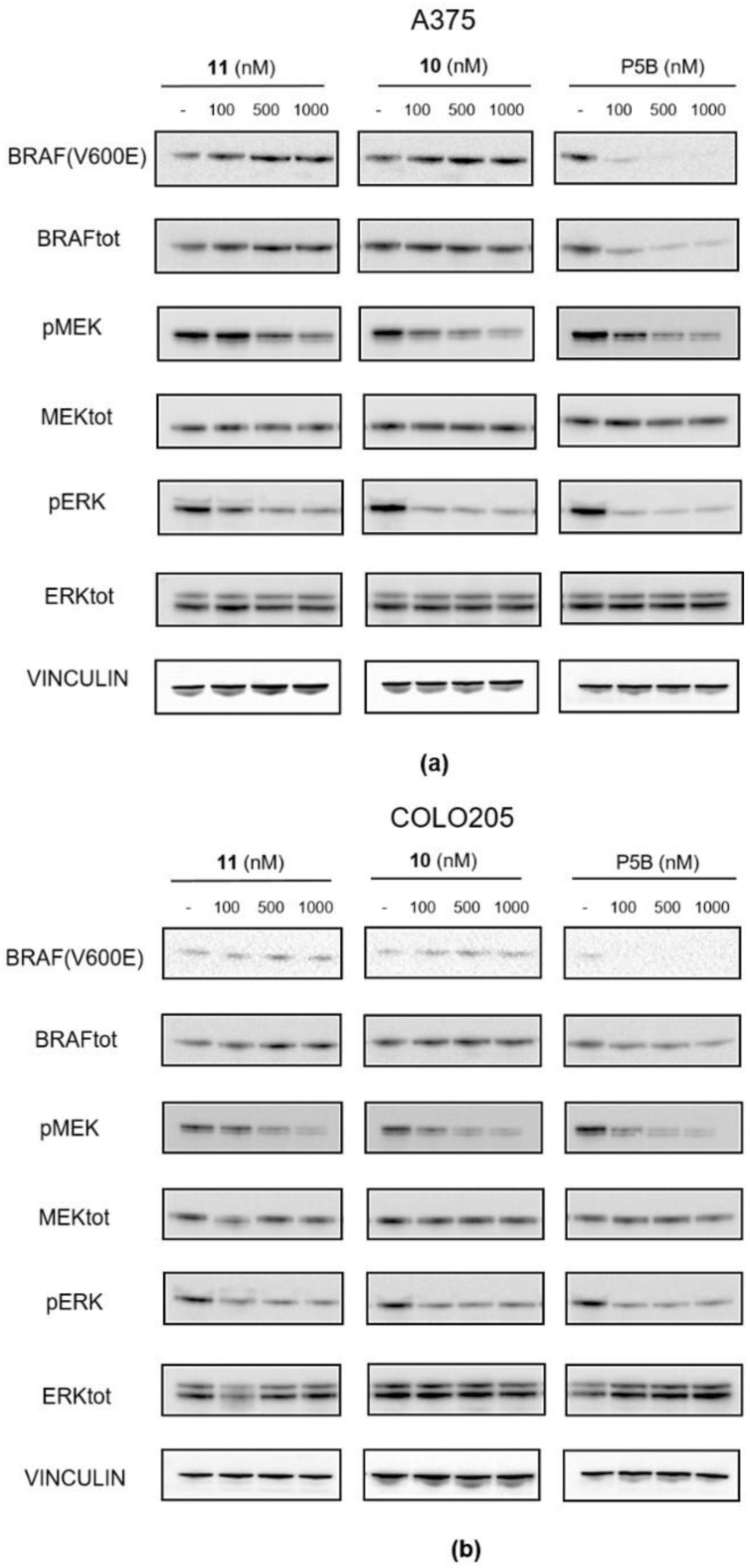 Molecules 27 08513 g007
