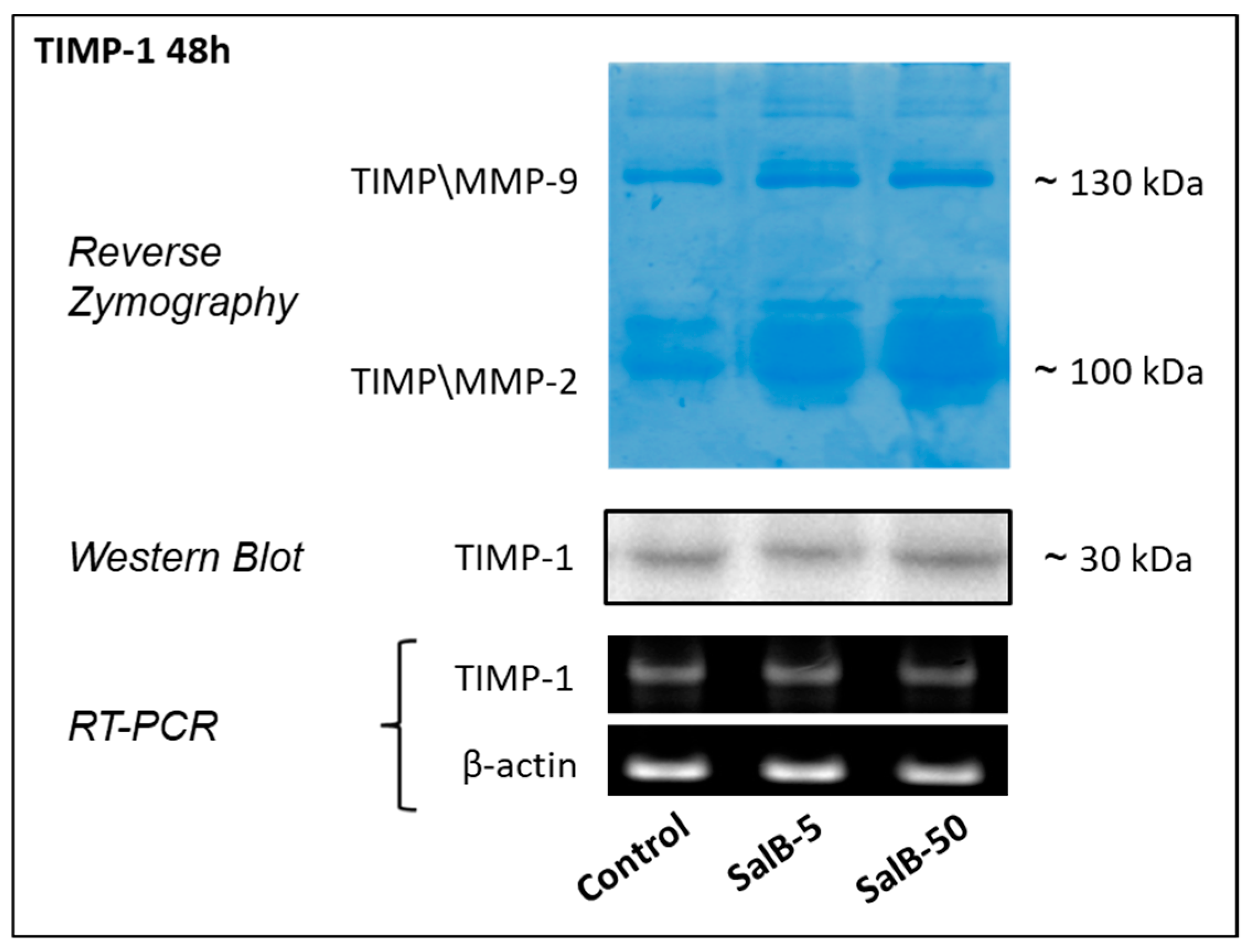 Molecules 27 08514 g005 Molecules 27 08514 g005