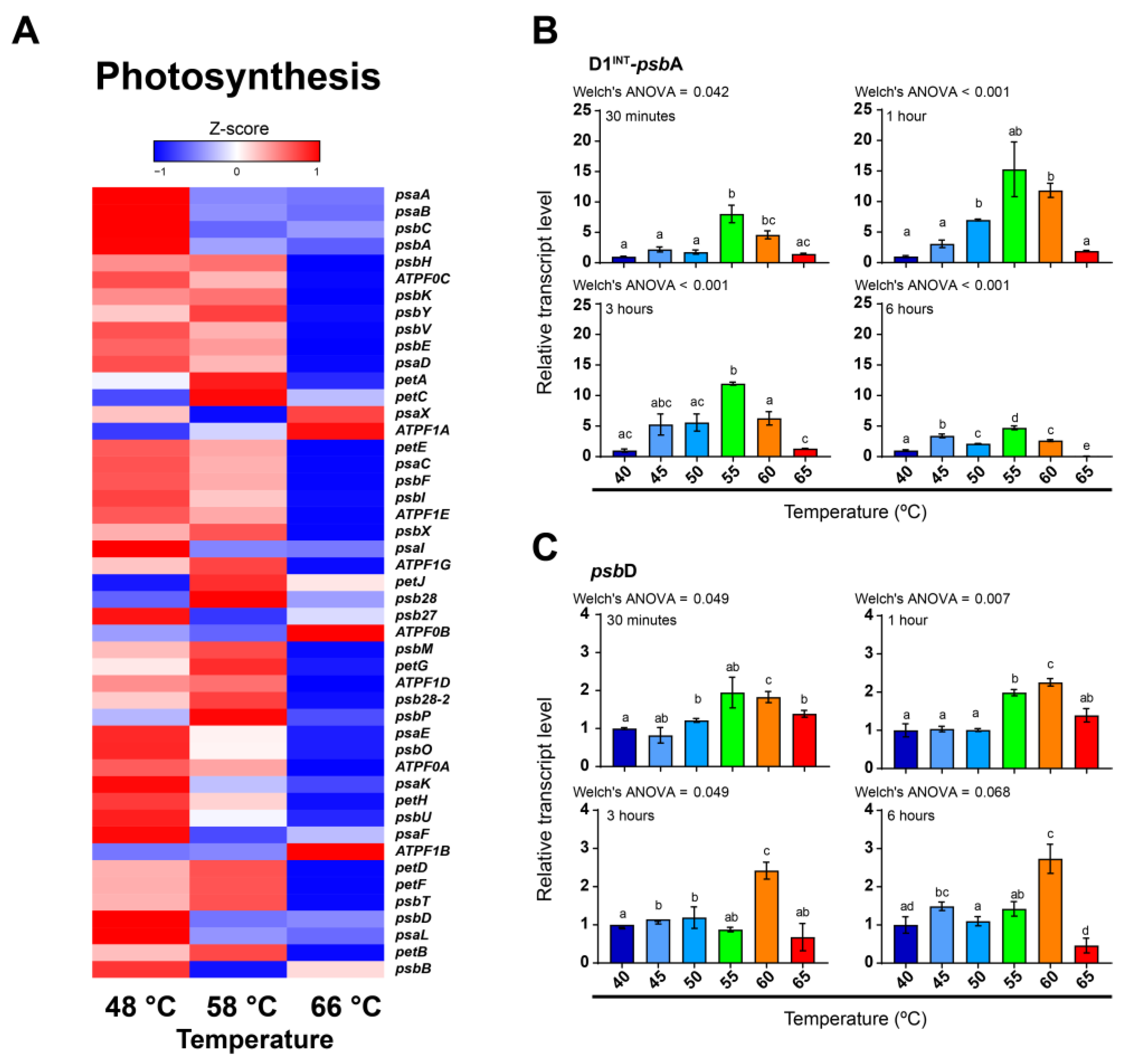 Molecules 27 08515 g002 Molecules 27 08515 g002