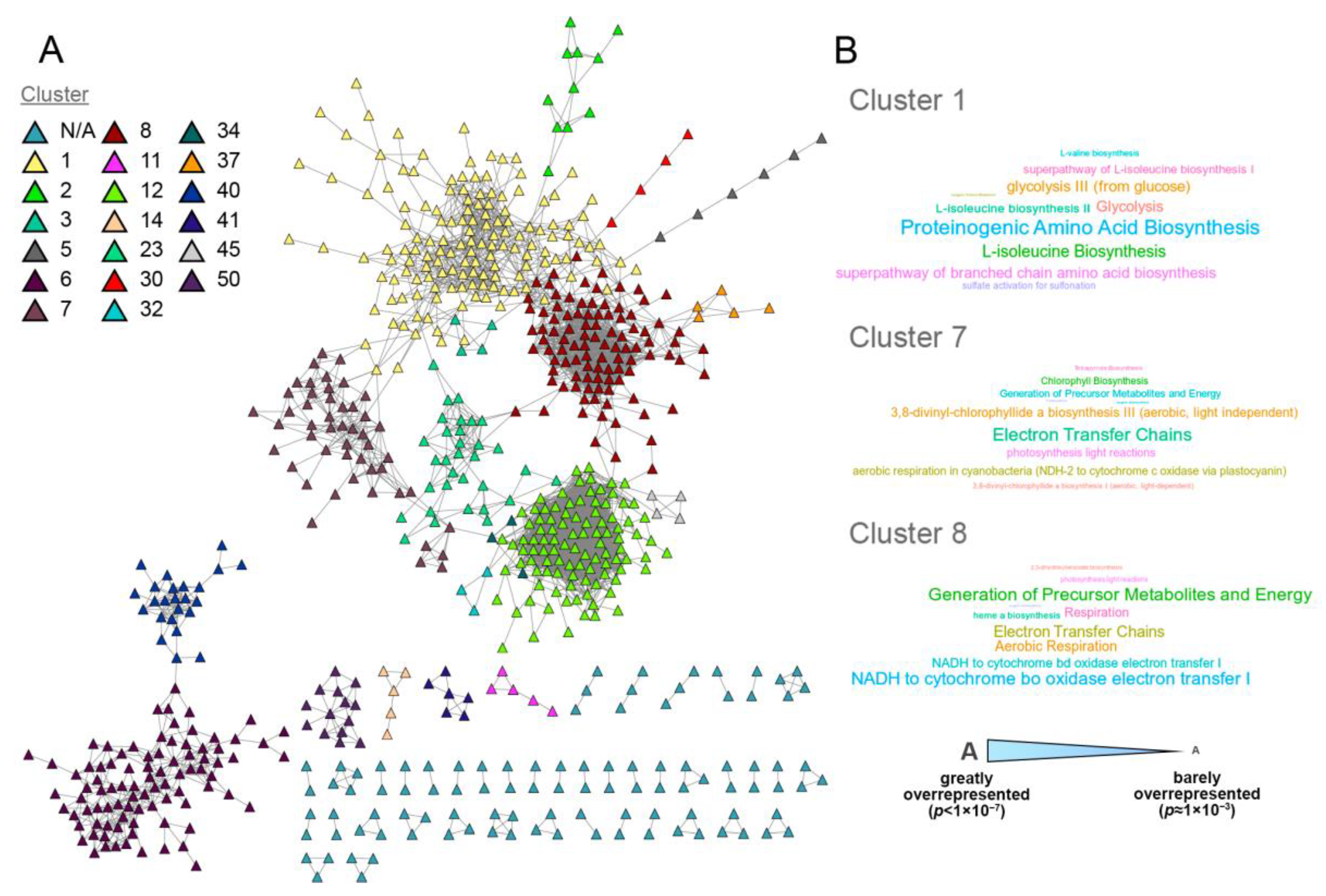 Molecules 27 08515 g004 Molecules 27 08515 g004