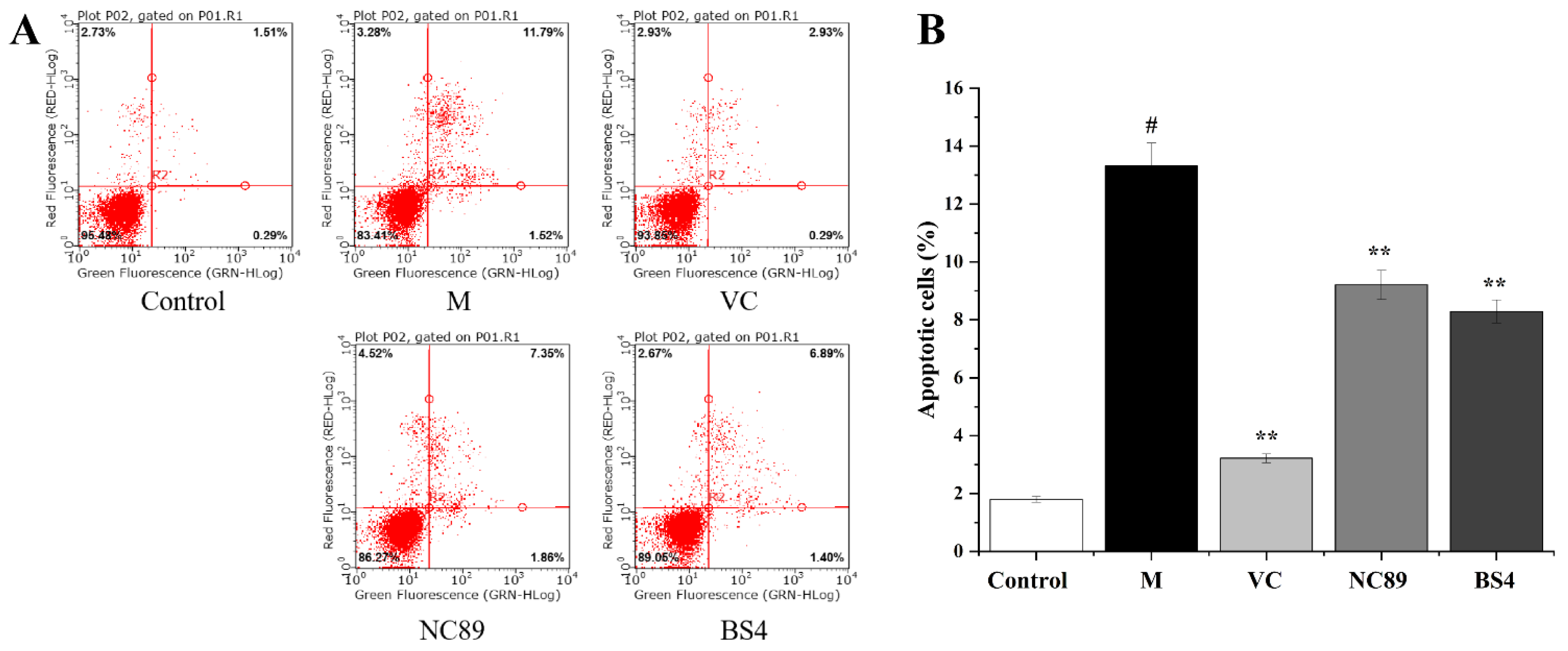 Molecules 27 08516 g004 Molecules 27 08516 g004